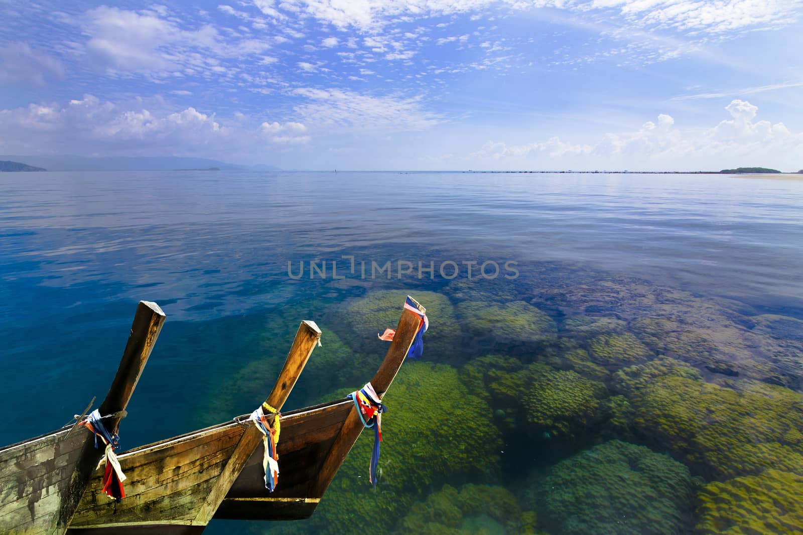 Coral in Koh Matsum. by jee1999