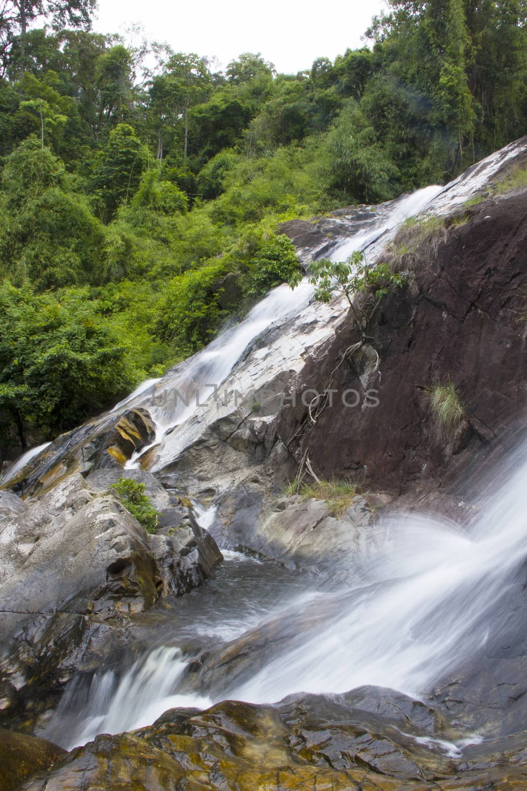  Natural background waterfall. waterfall Colorful leaves. waterfall thailand tropical