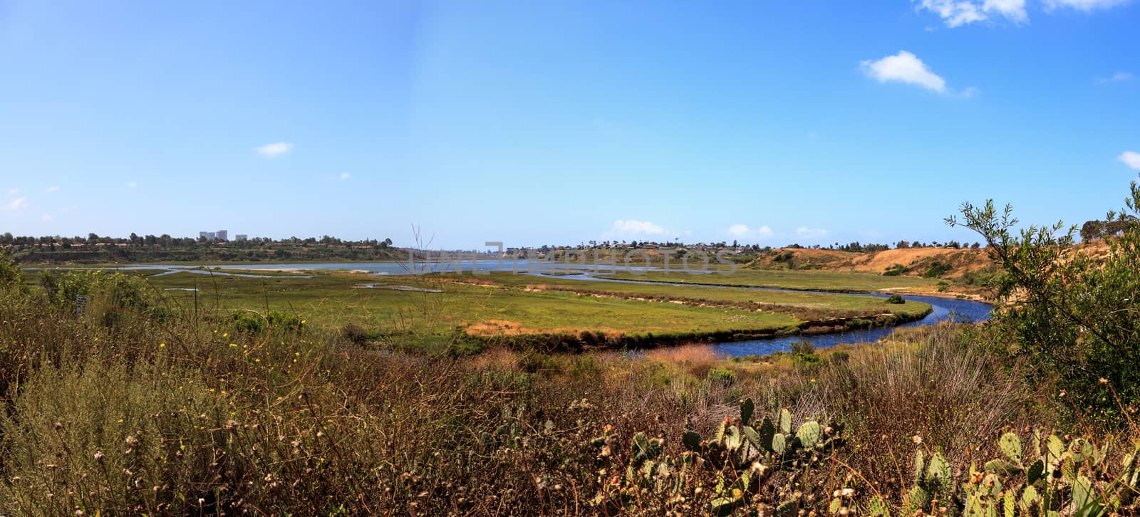 Upper Newport Bay Nature Preserve hiking trail winds along the marsh, where you will see wildlife in Newport Beach, California USA