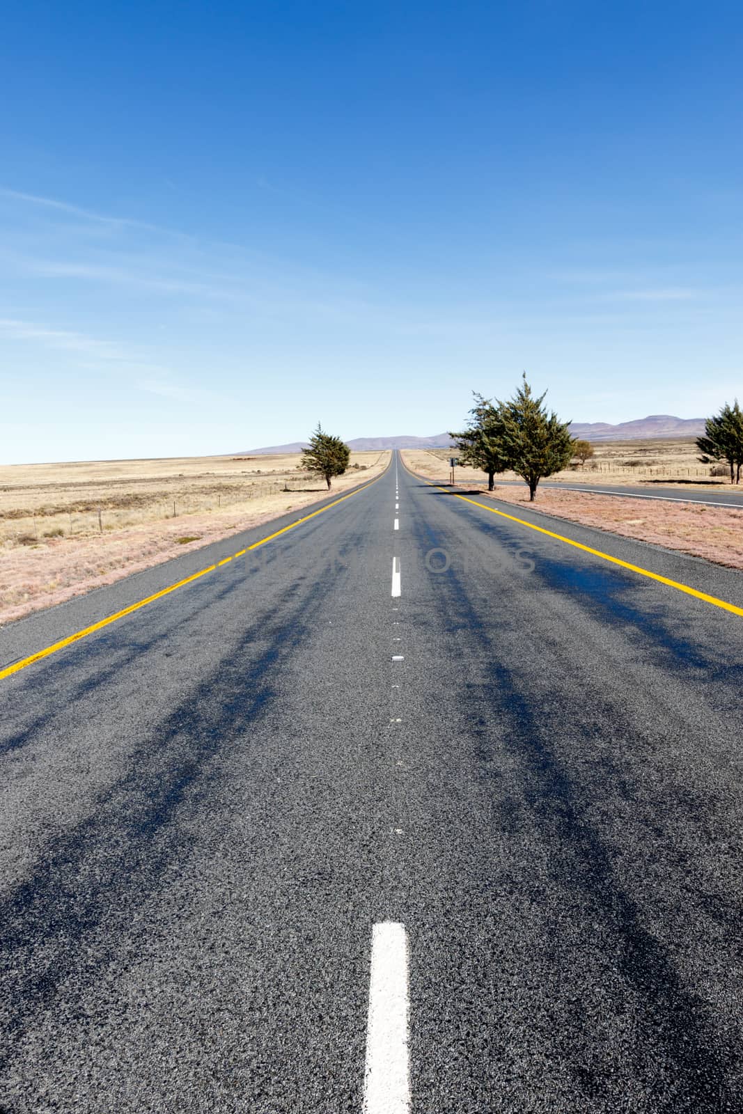 Long road leading to the mountains with trees on the side.