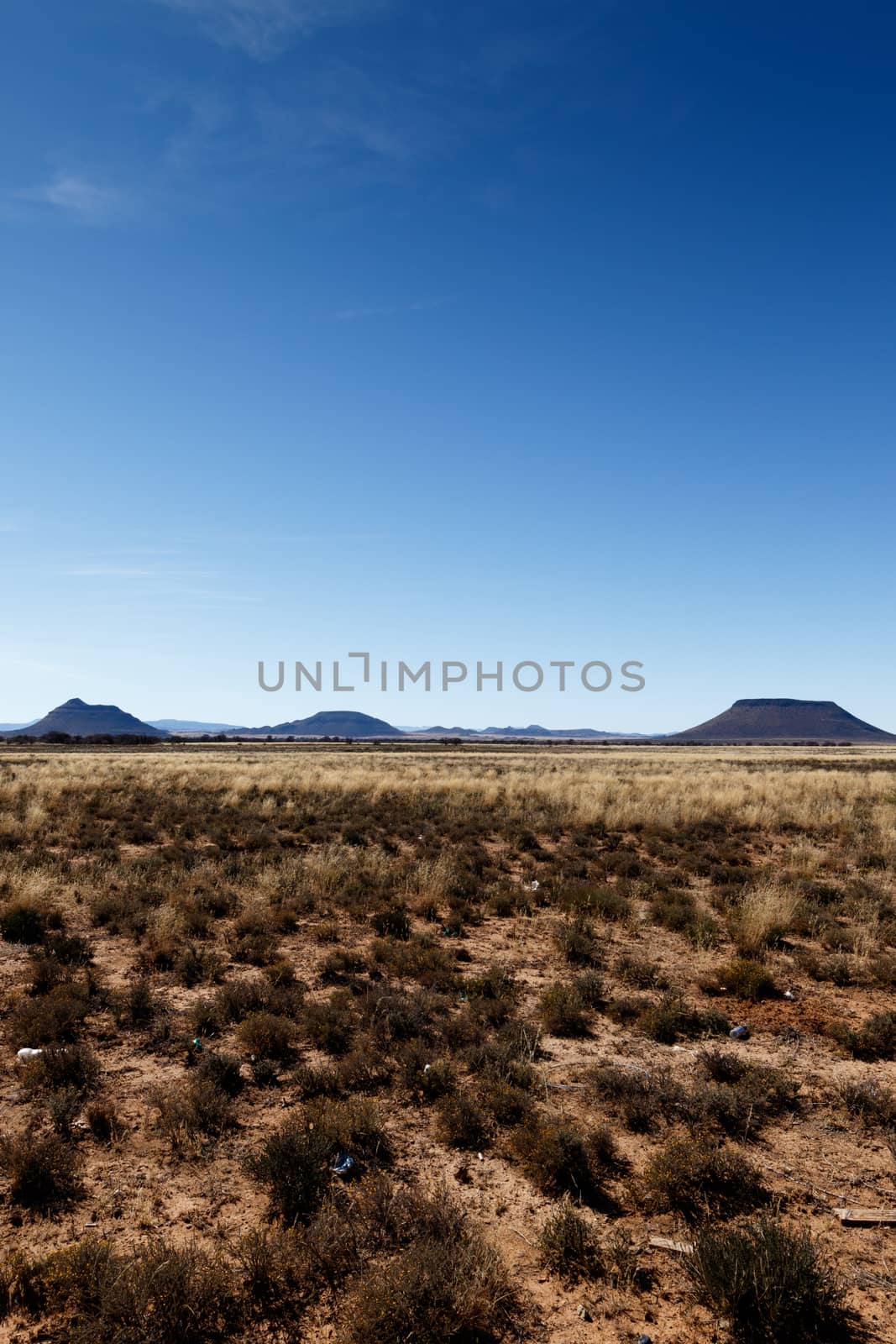 Portrait - Cradock with yellow fields and  mountains with blue sky in South Africa.