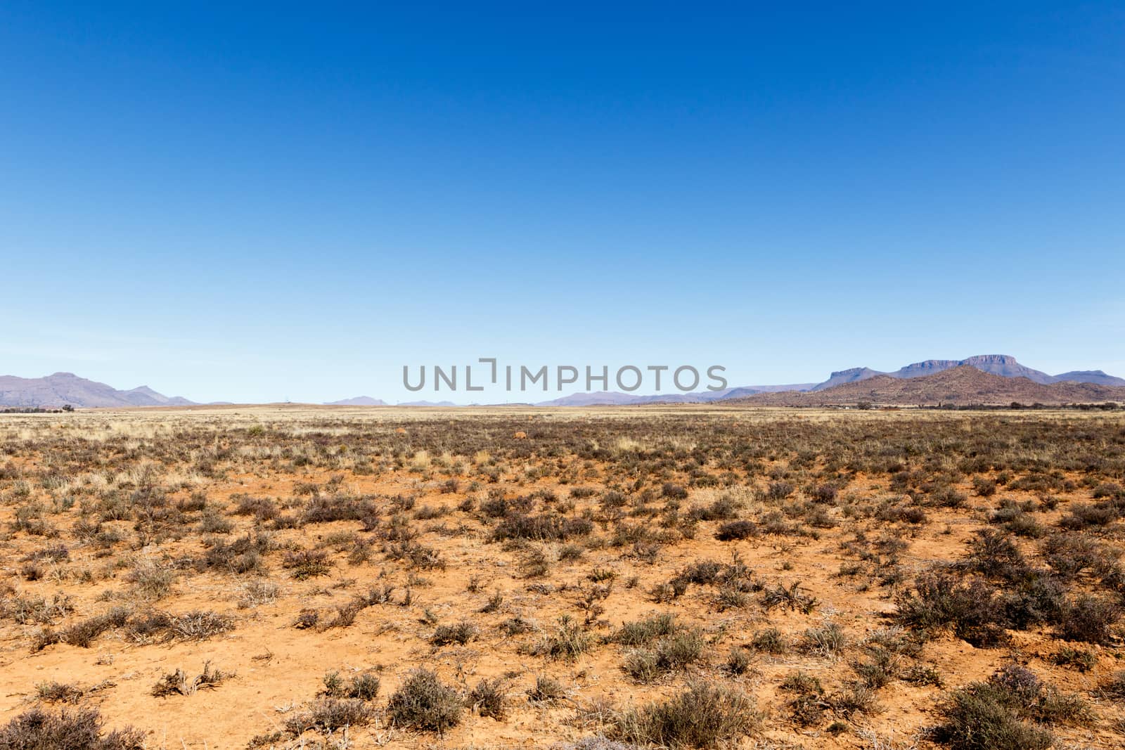 Barren field with mountains and blue sky in Cradock.