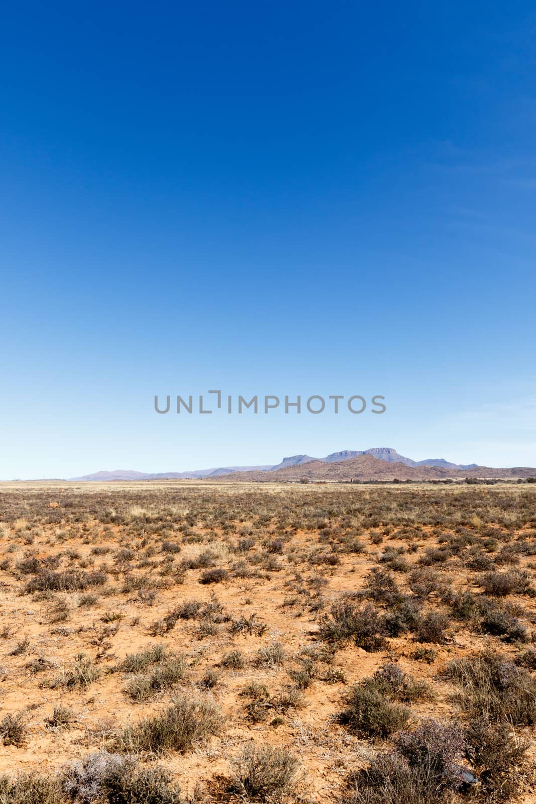 Portrait - Barren field with mountains and blue sky by markdescande