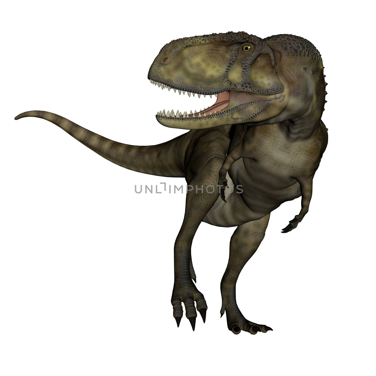 Abelosaurus dinosaur roaring isolated in white background - 3D render