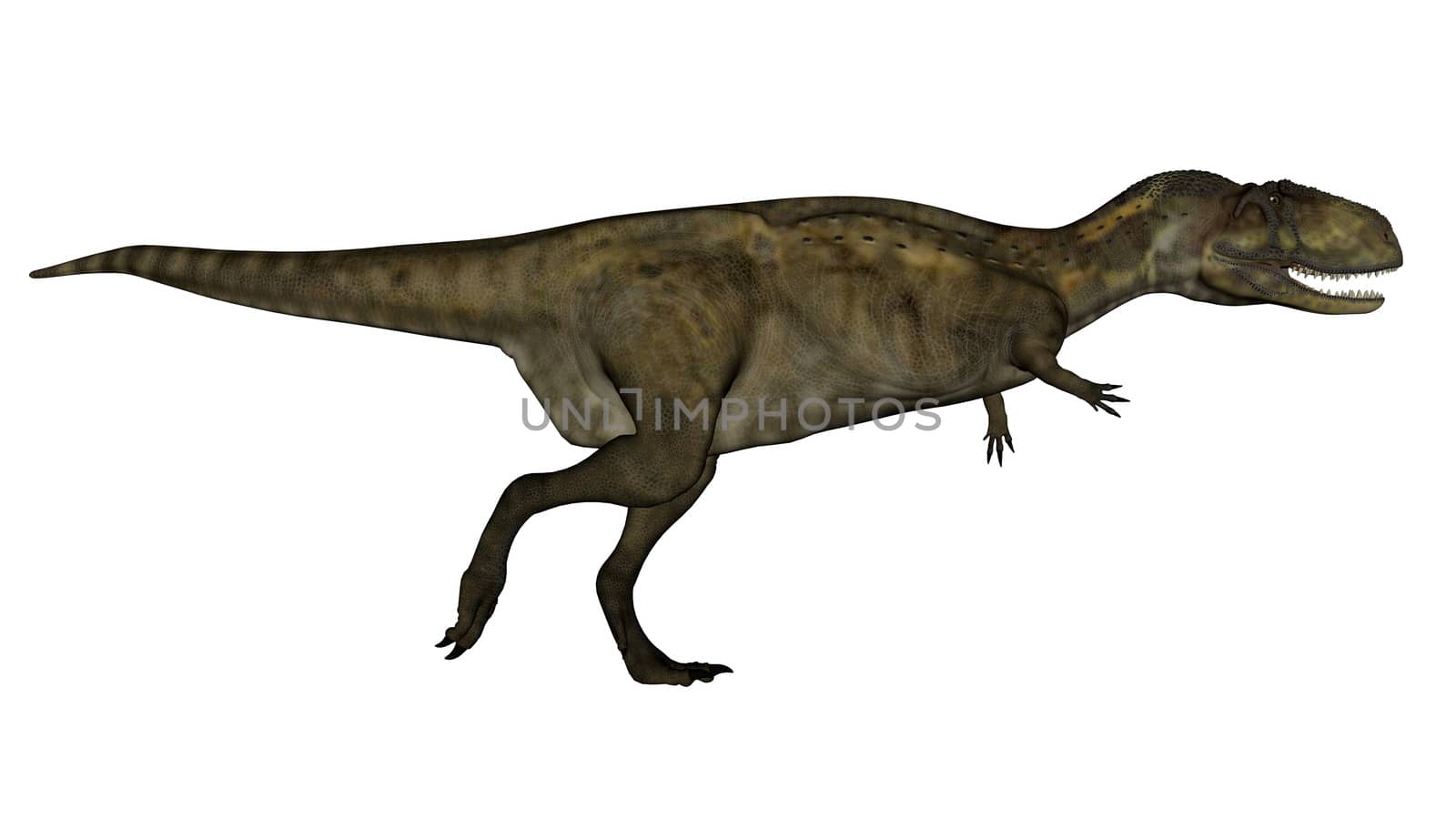 Abelosaurus dinosaur running isolated in white background - 3D render