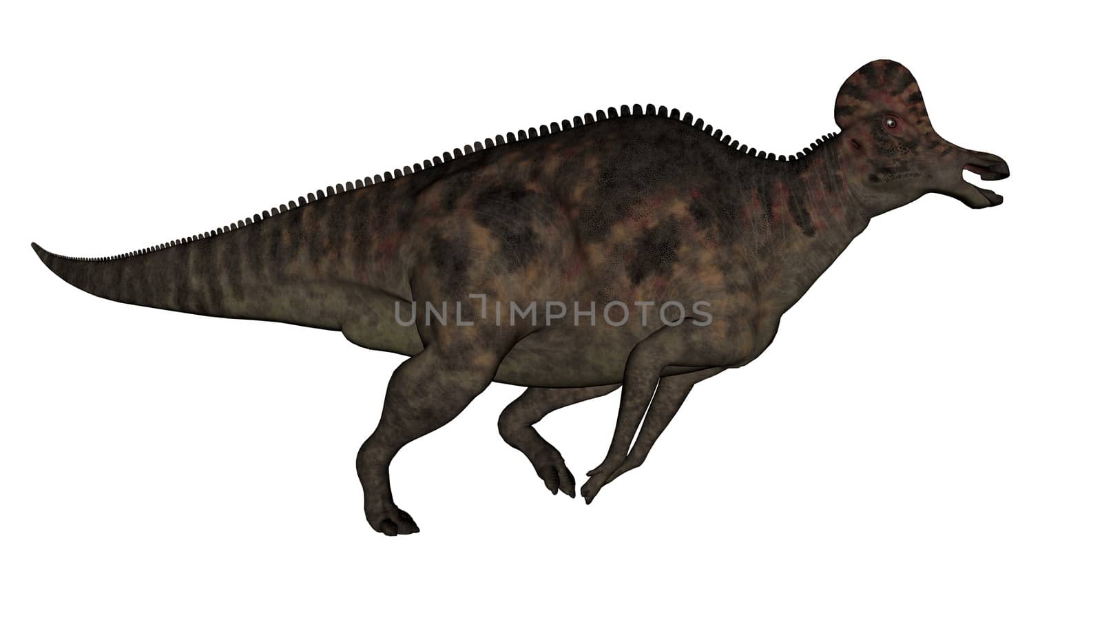 Corythosaurus dinosaur - 3D render by Elenaphotos21
