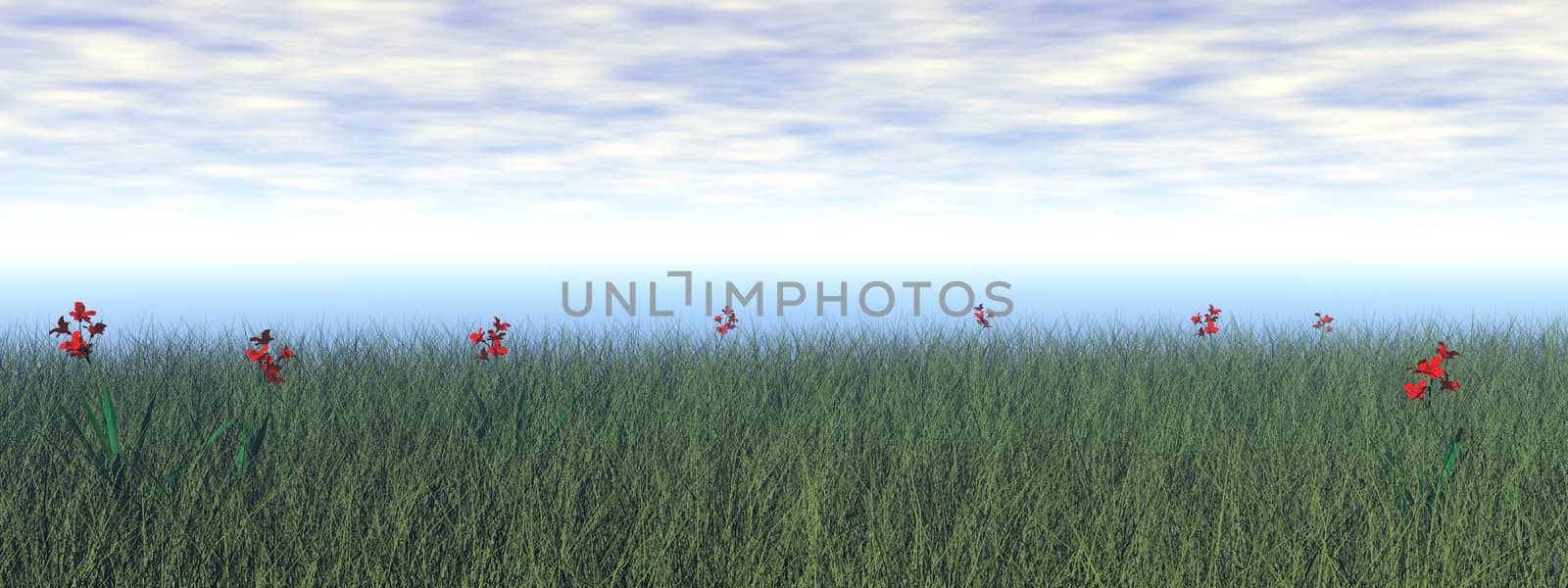 Grassland with beautiful red flowers by cloudy day - 3D render