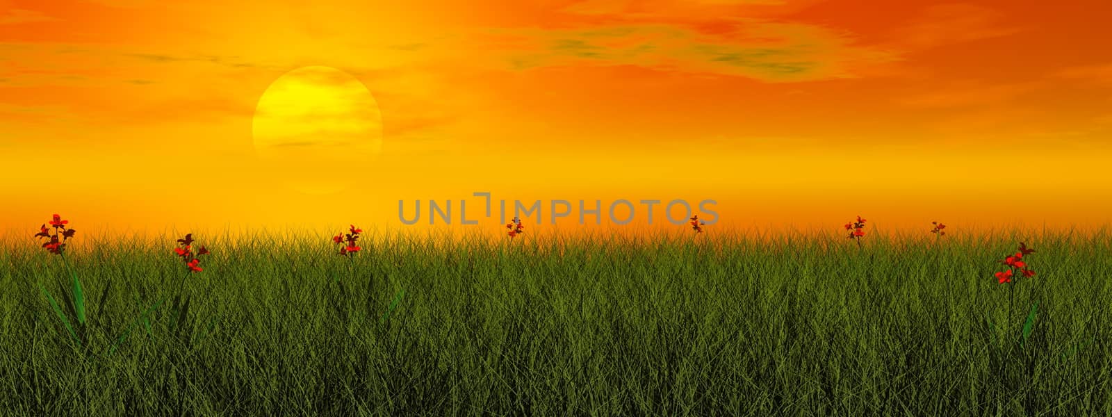 Grassland with beautiful red flowers by sunset - 3D render