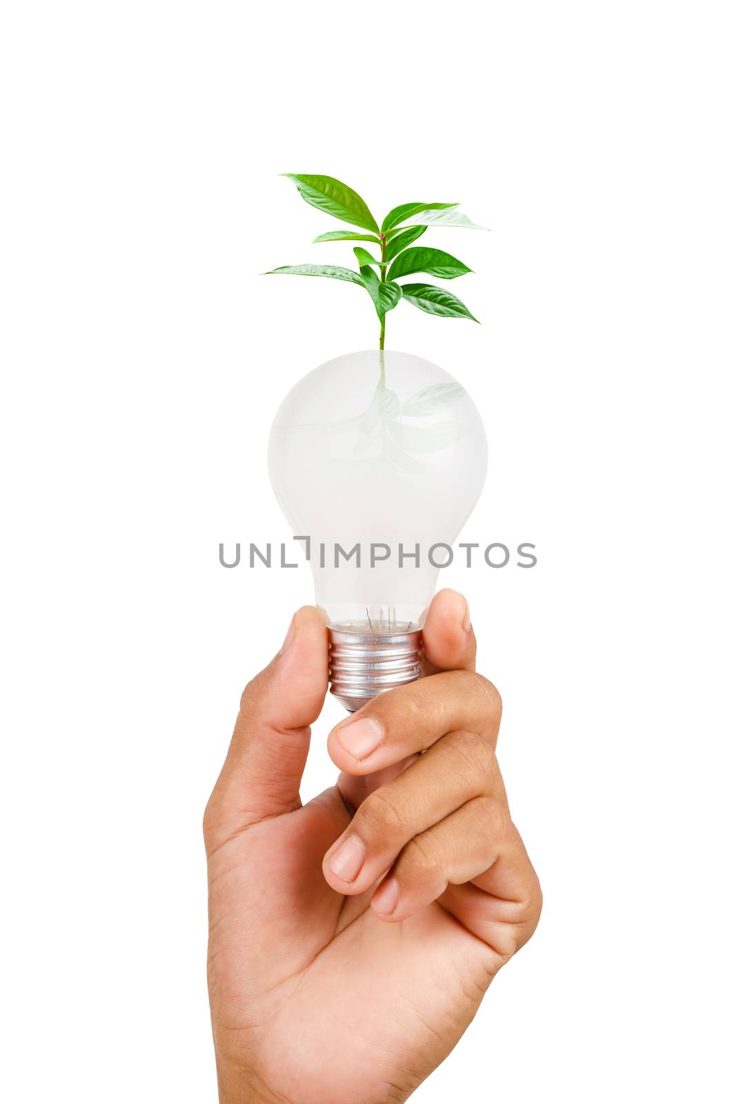 Isolated of woman hand holding LED bulb on white background, Saved clipping path.