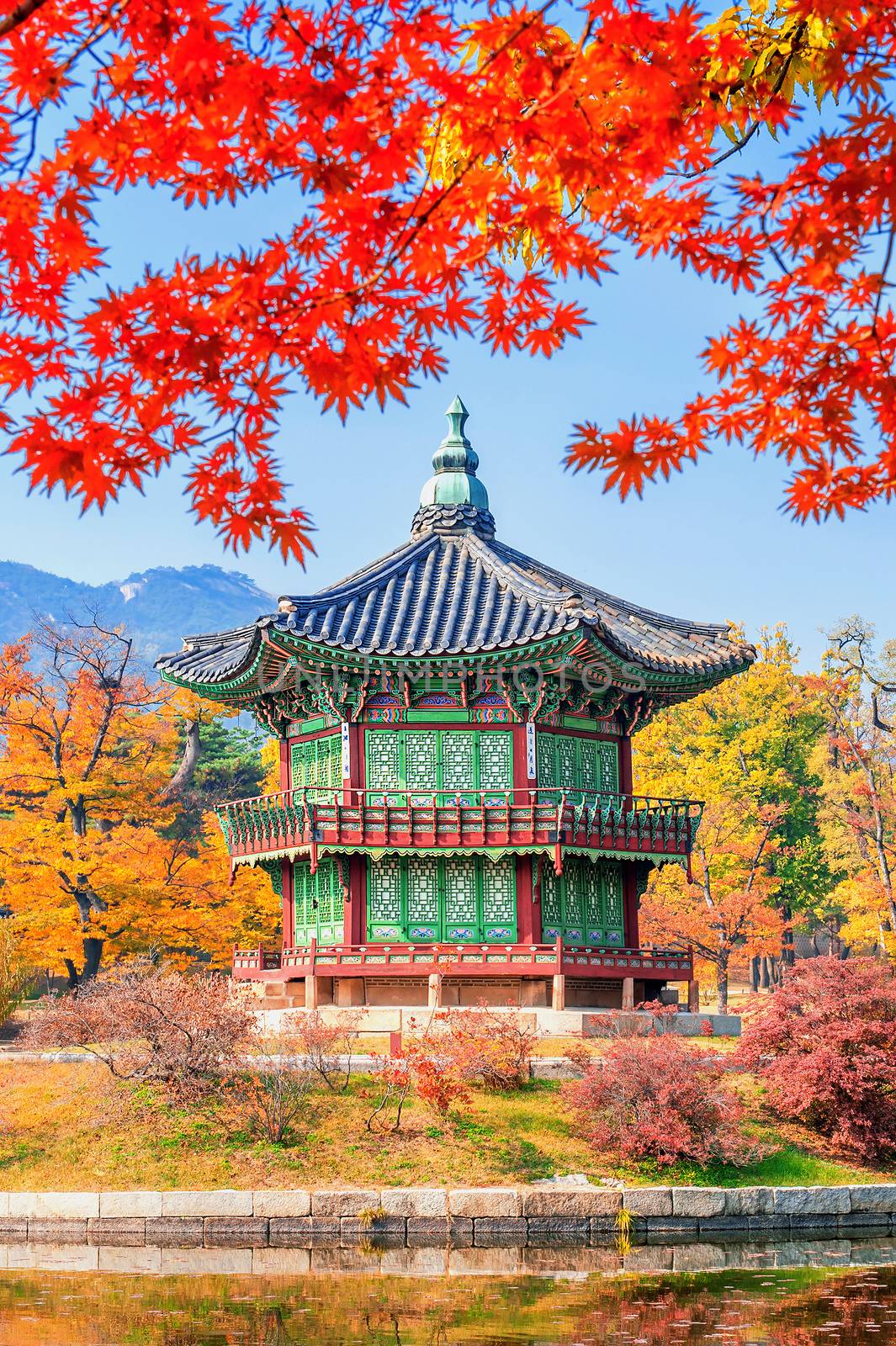 Gyeongbukgung and Maple tree in autumn in korea.