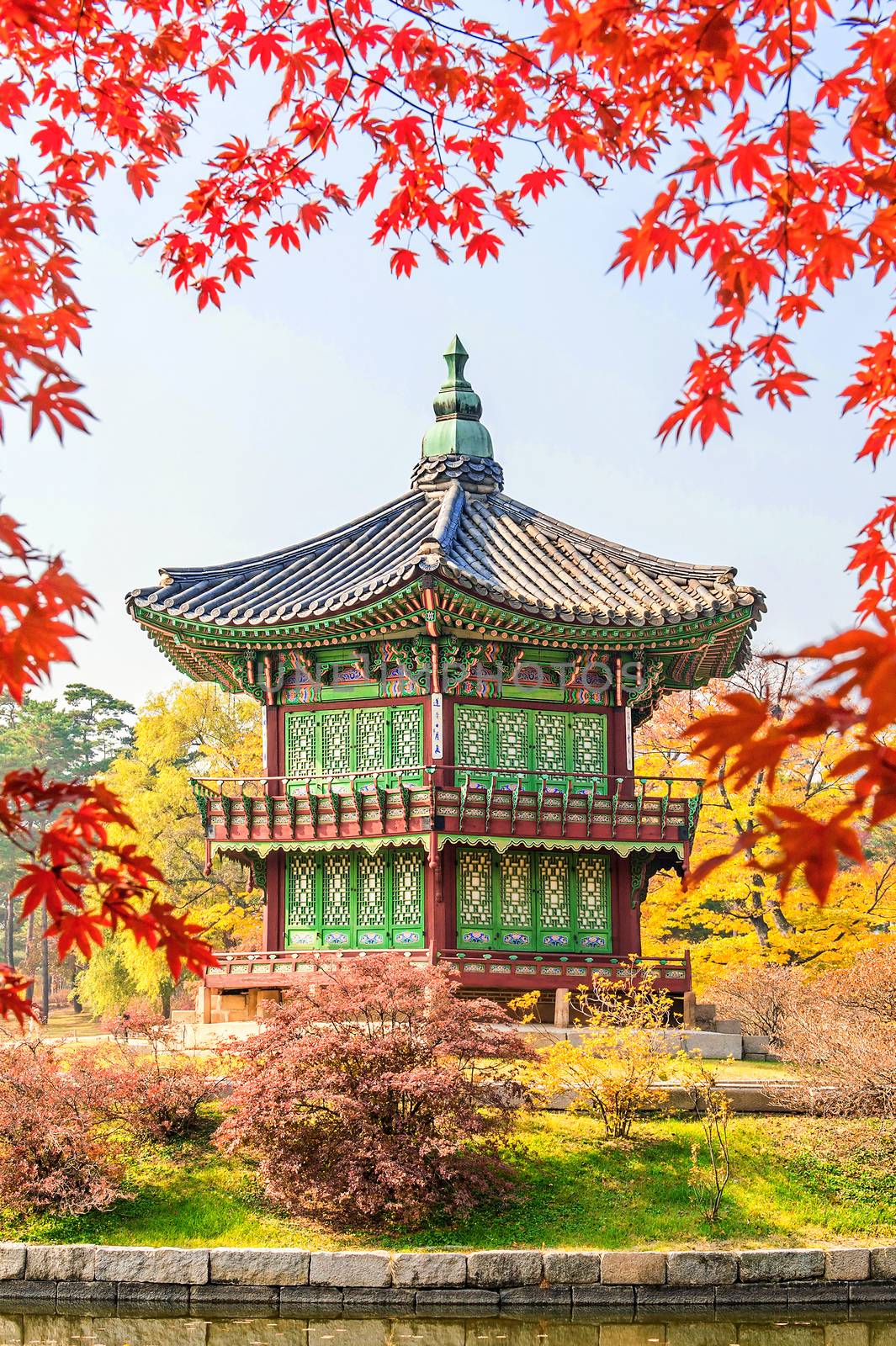 Gyeongbukgung and Maple tree in autumn in korea. by gutarphotoghaphy