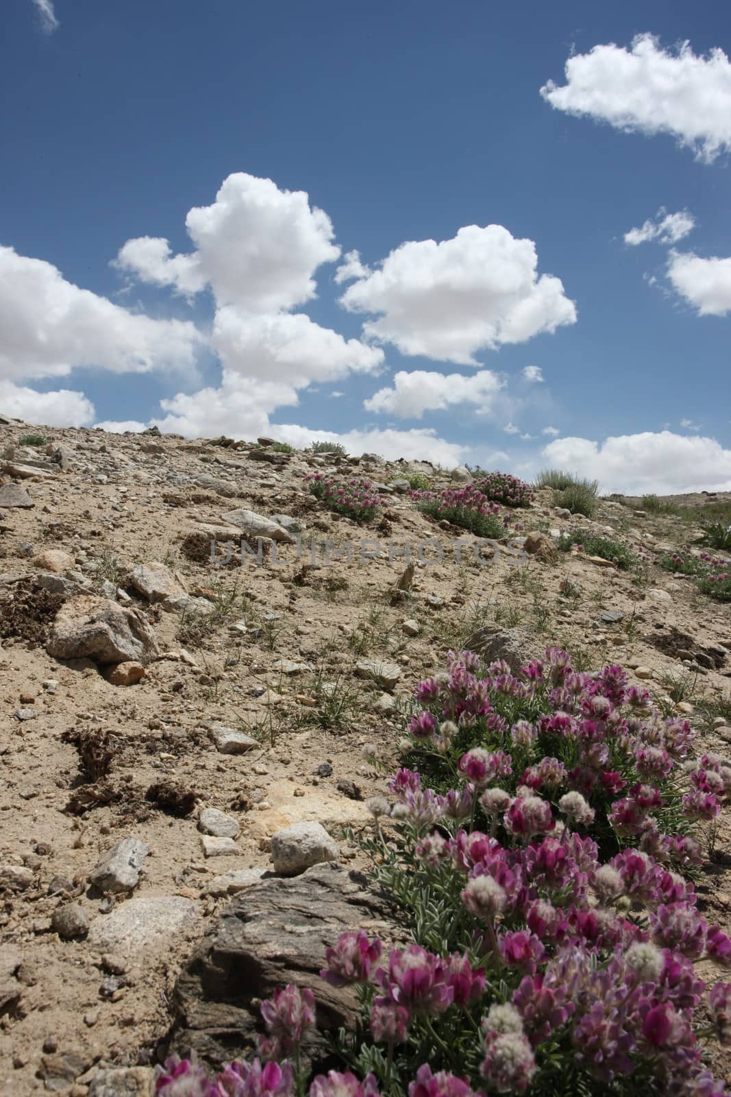 Pamir region Russian Federation Central Asia mountain landscapes