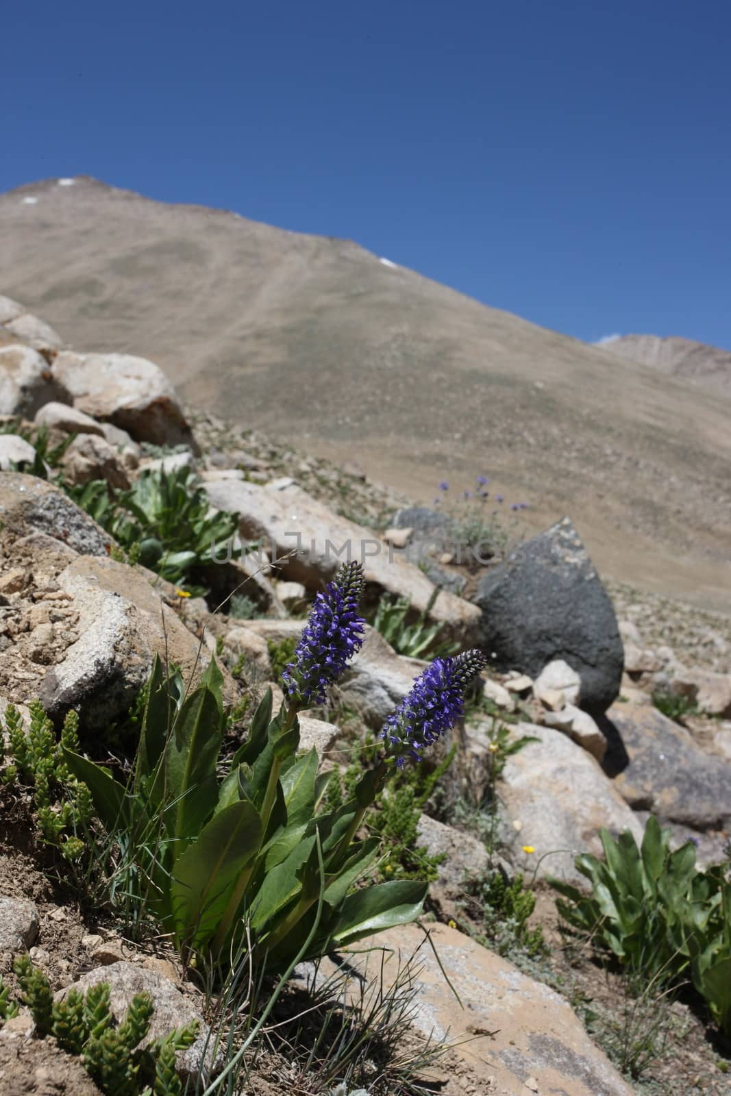 Pamir region Russian Federation Central Asia mountain landscapes