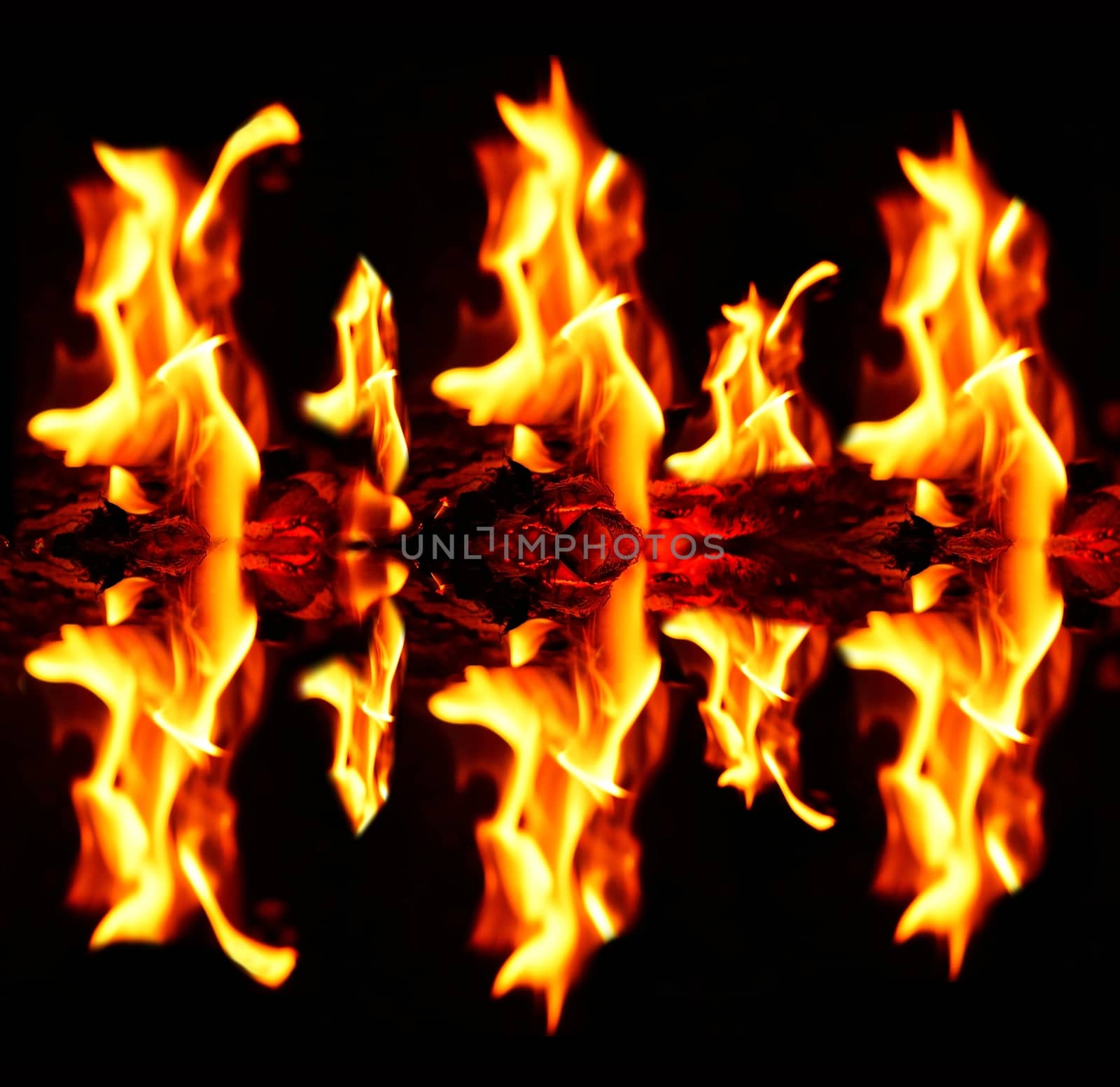 Blazing fire flames with reflection on dark black background.