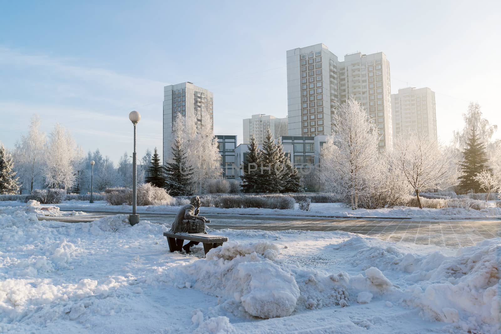 Snow-covered trees in the city of a  Moscow, Russia