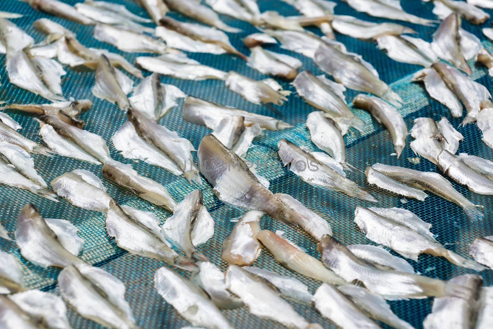 dried fish by photoexplorer