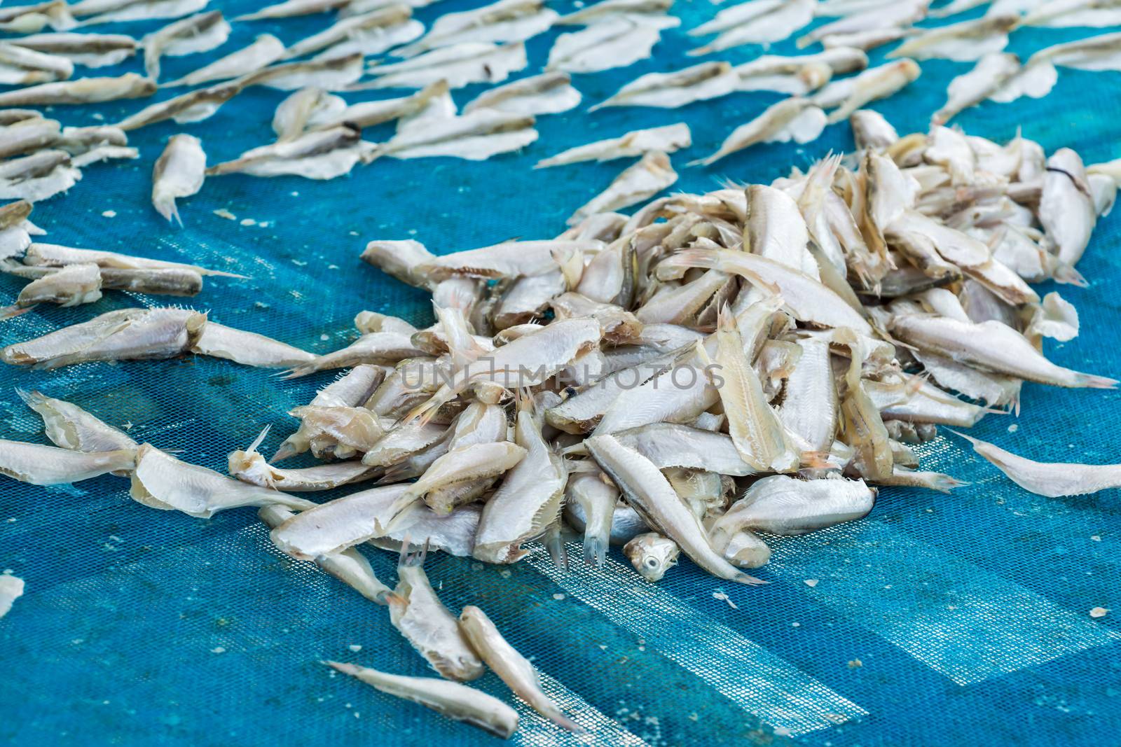 fish processing by drying allows for long-term storage
