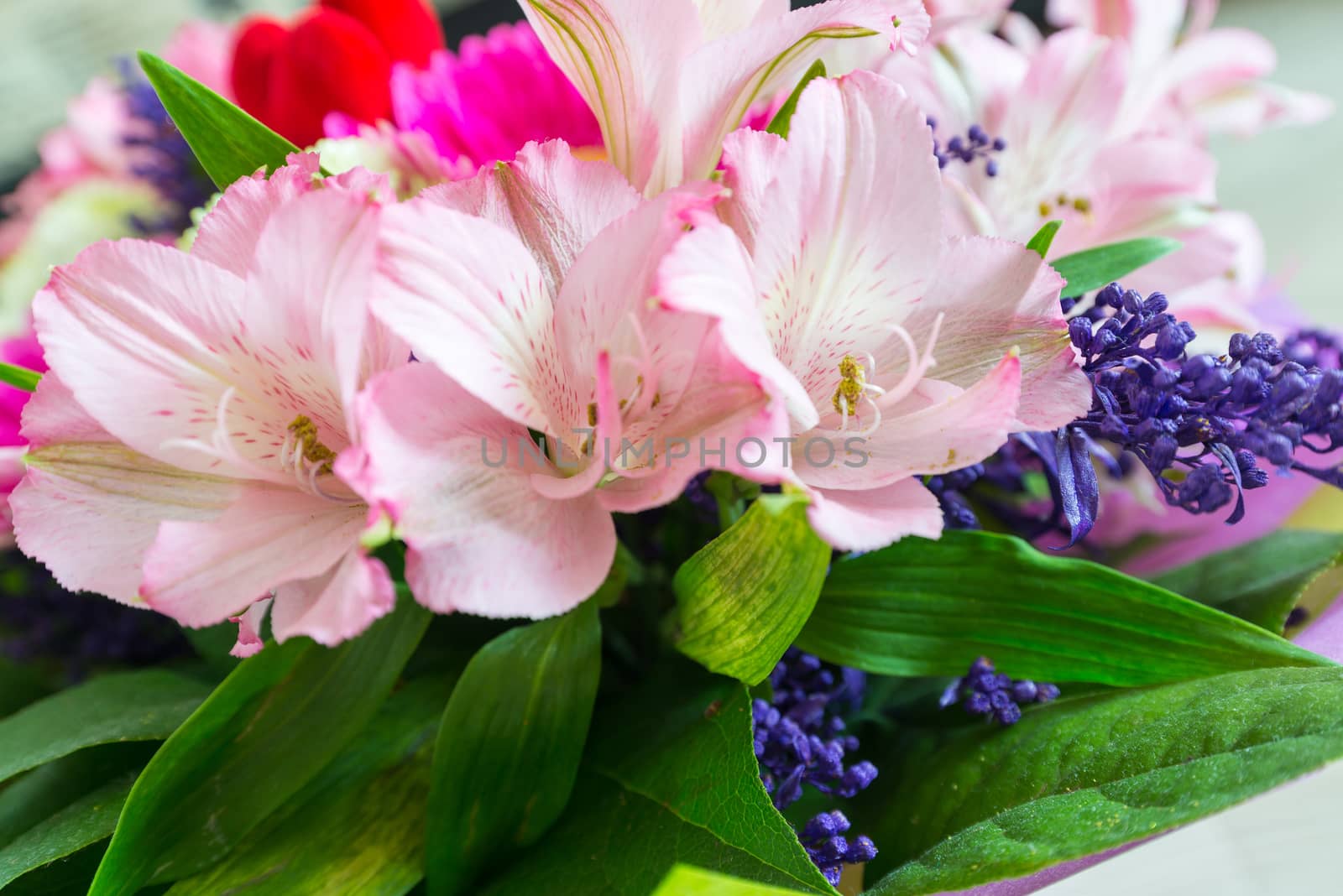 flower bouquet with a lot of different flowers by olgavolodina