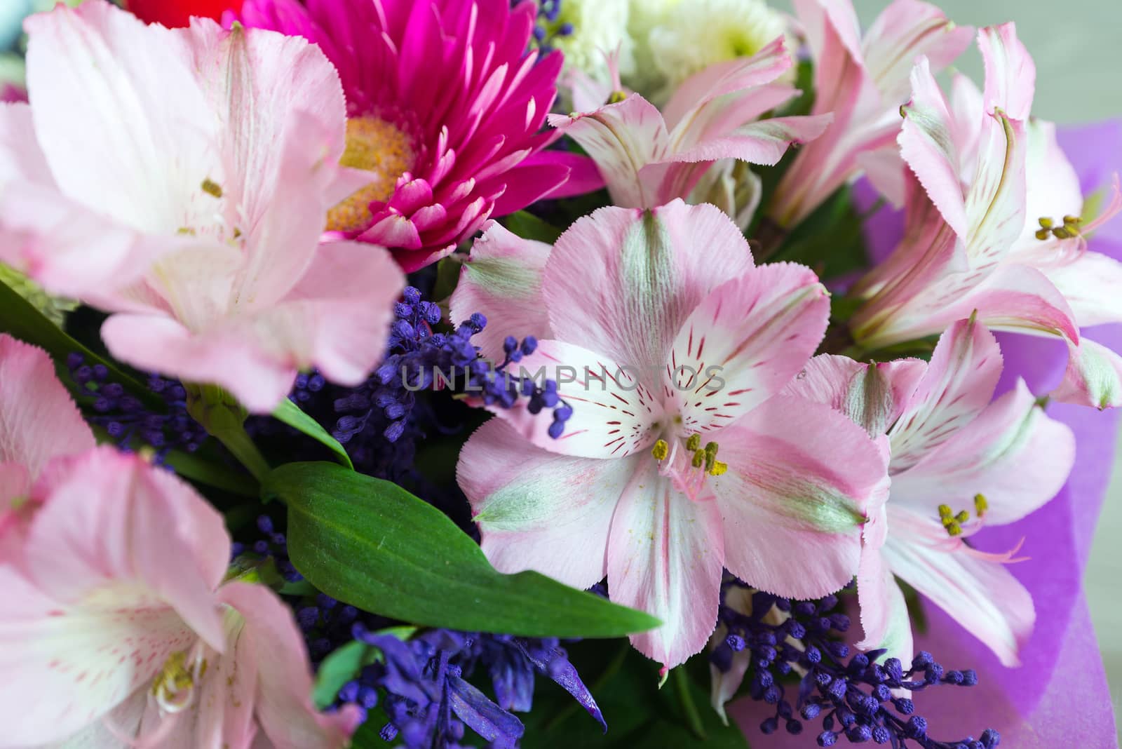 flower bouquet with a lot of different flowers by olgavolodina