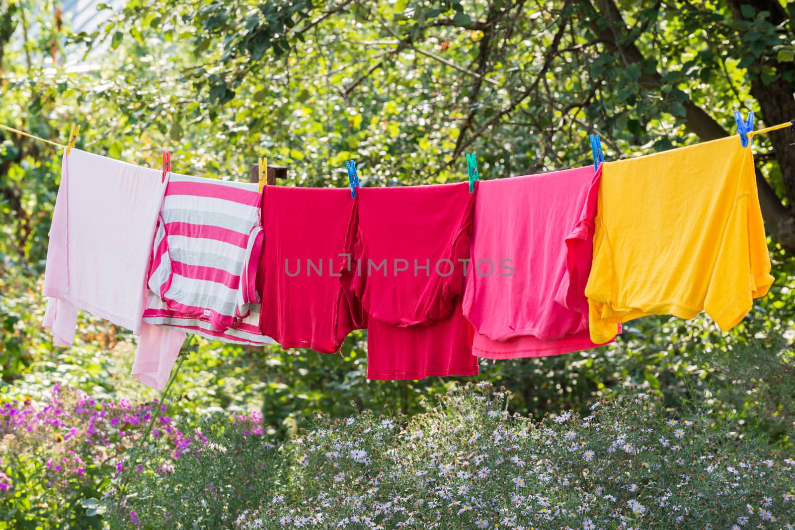 Linen is dried on rope in the garden by olgavolodina