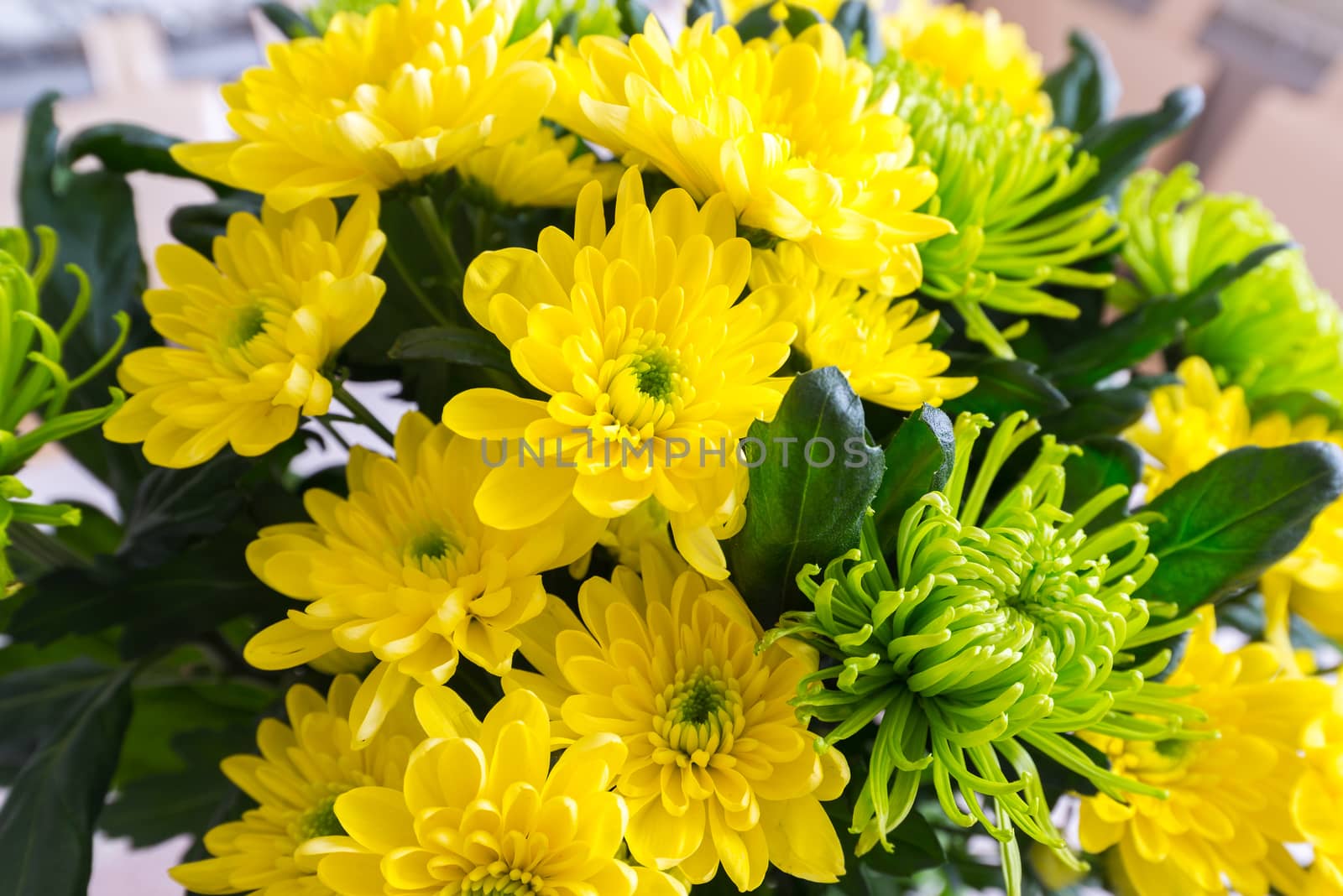 Bouquet of yellow and a green Chrysanthemum