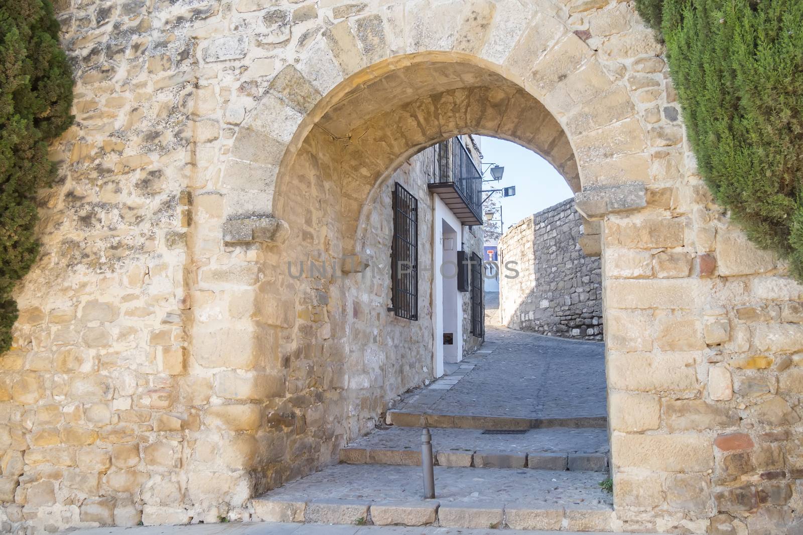 Granada Door, Ubeda, Jaen, Spain by max8xam