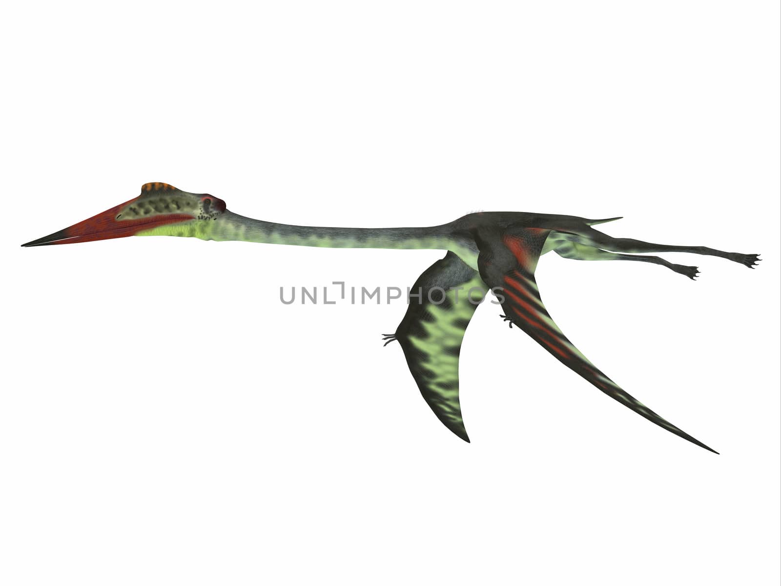 Quetzalcoatlus was a carnivorous pterosaur reptile that lived in the Cretaceous Period of North America.