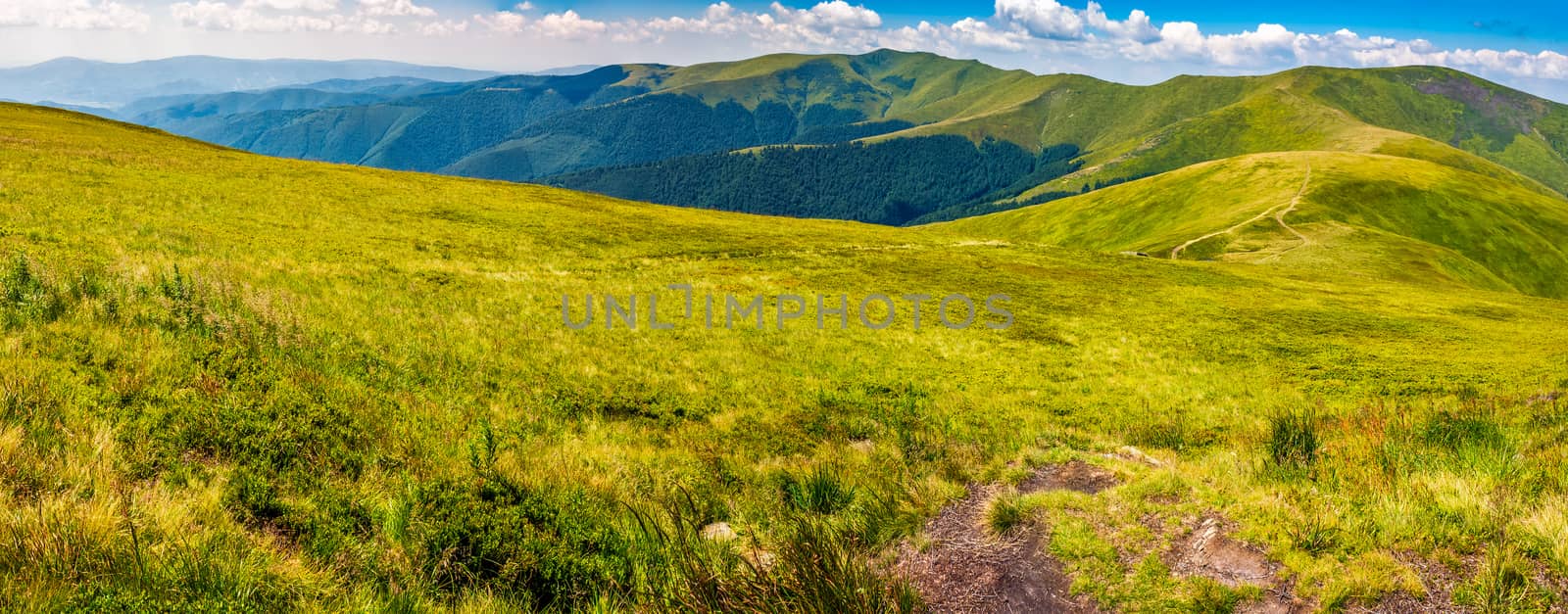 panorama of Carpathian mountain ridge by Pellinni