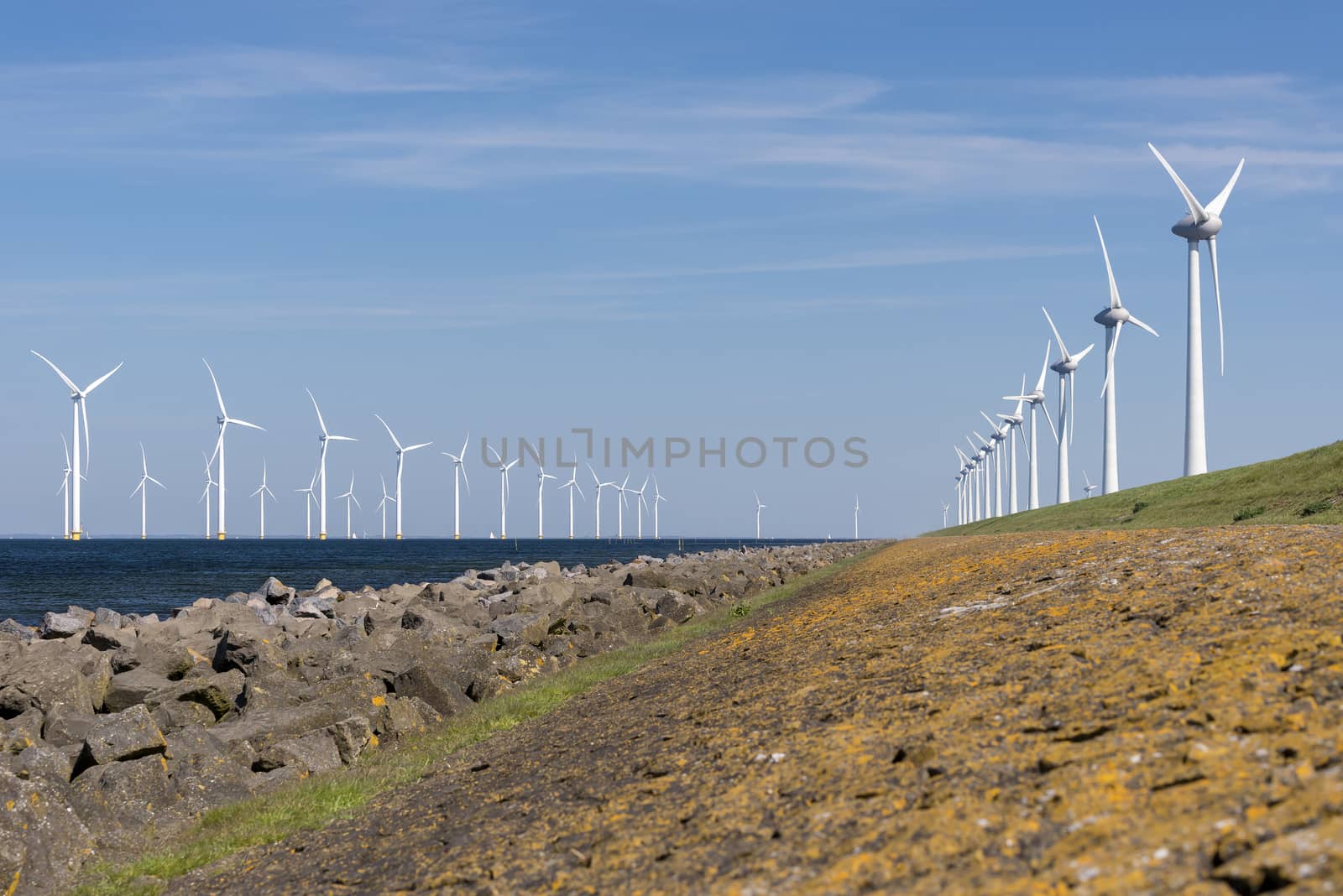 Wind farm in the water and on land
 by Tofotografie