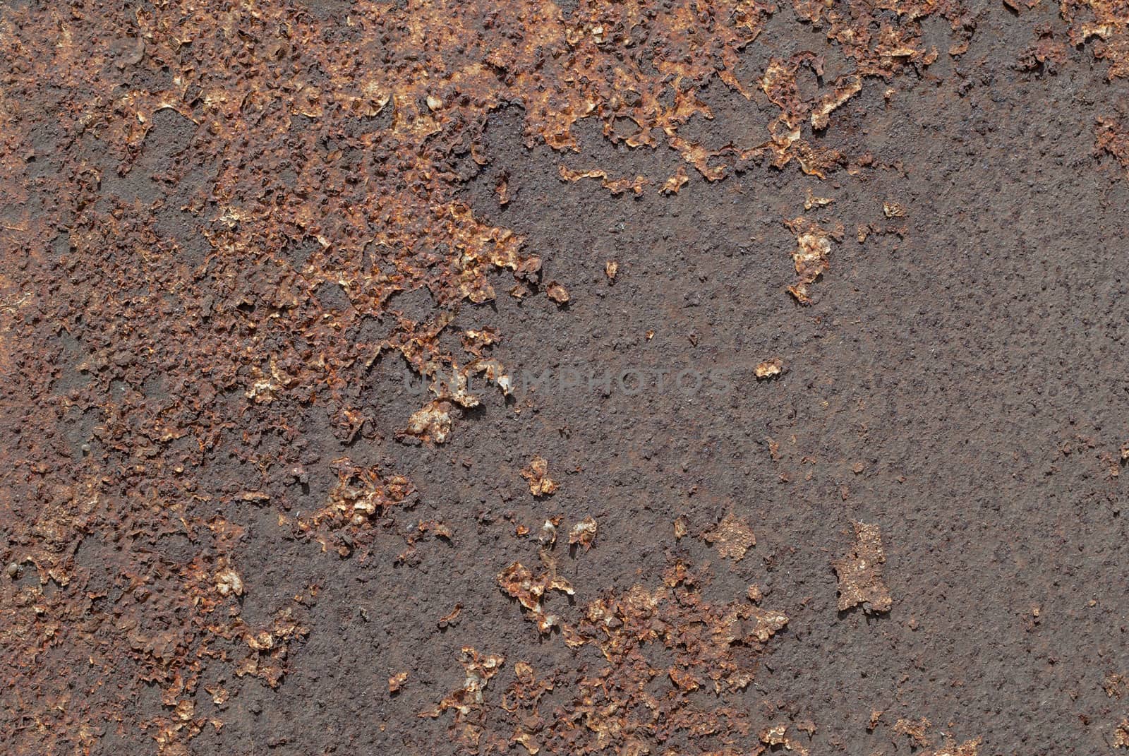 background of rusty metal, grunge metal surface