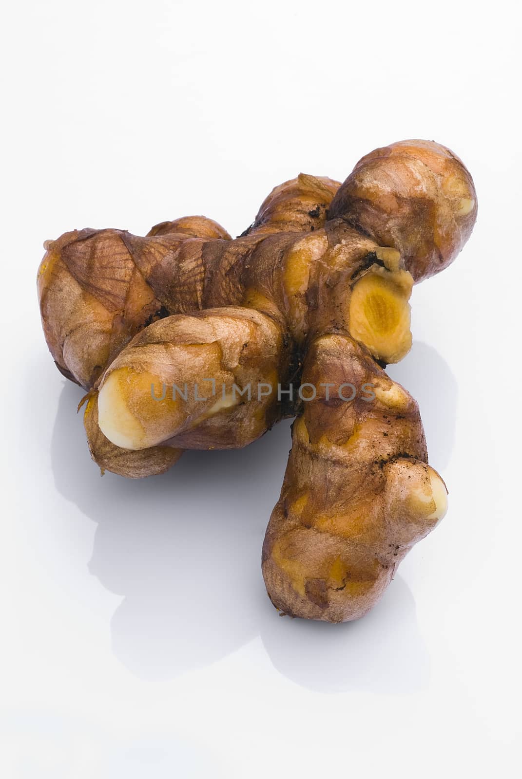 Turmeric root (Curcuma longa) by vainillaychile