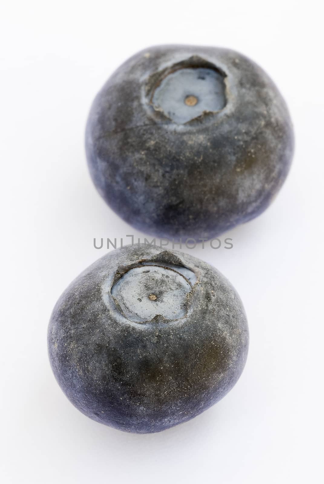 Closeup of blueberry  isolated on white