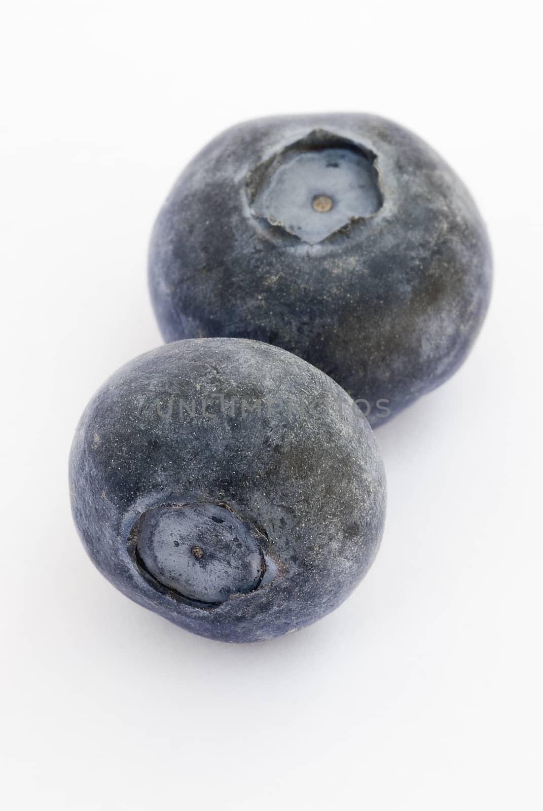 Blueberry fruit on a white background by vainillaychile