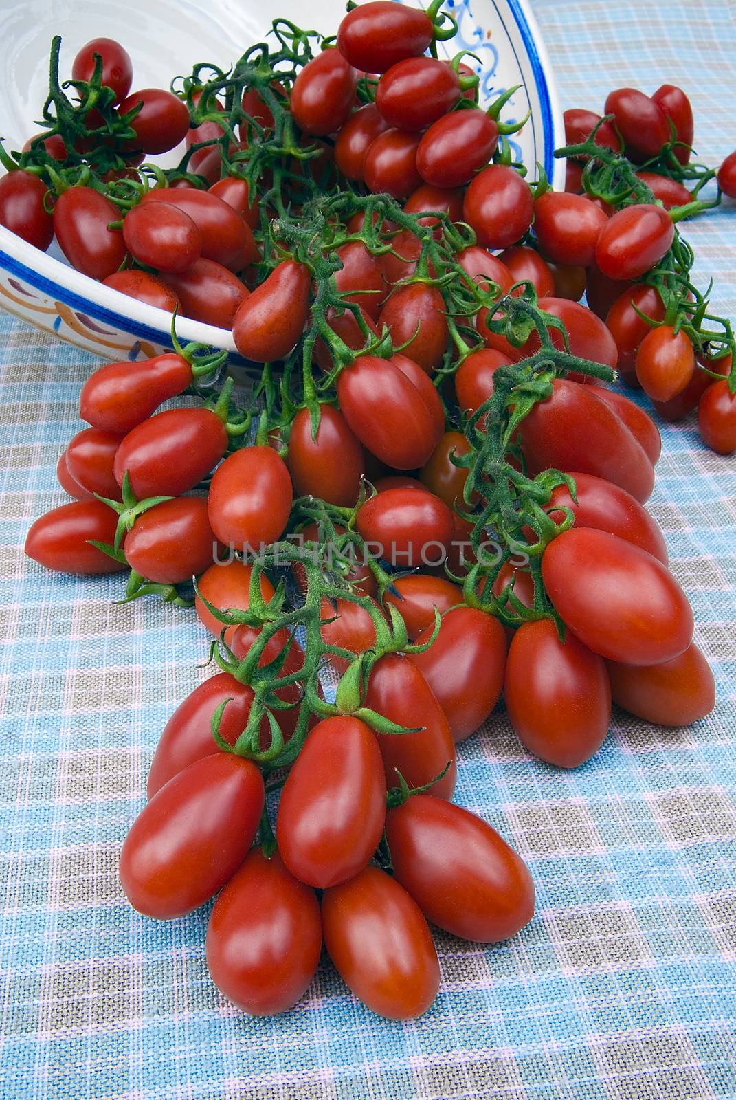 Cherry Tomato by vainillaychile