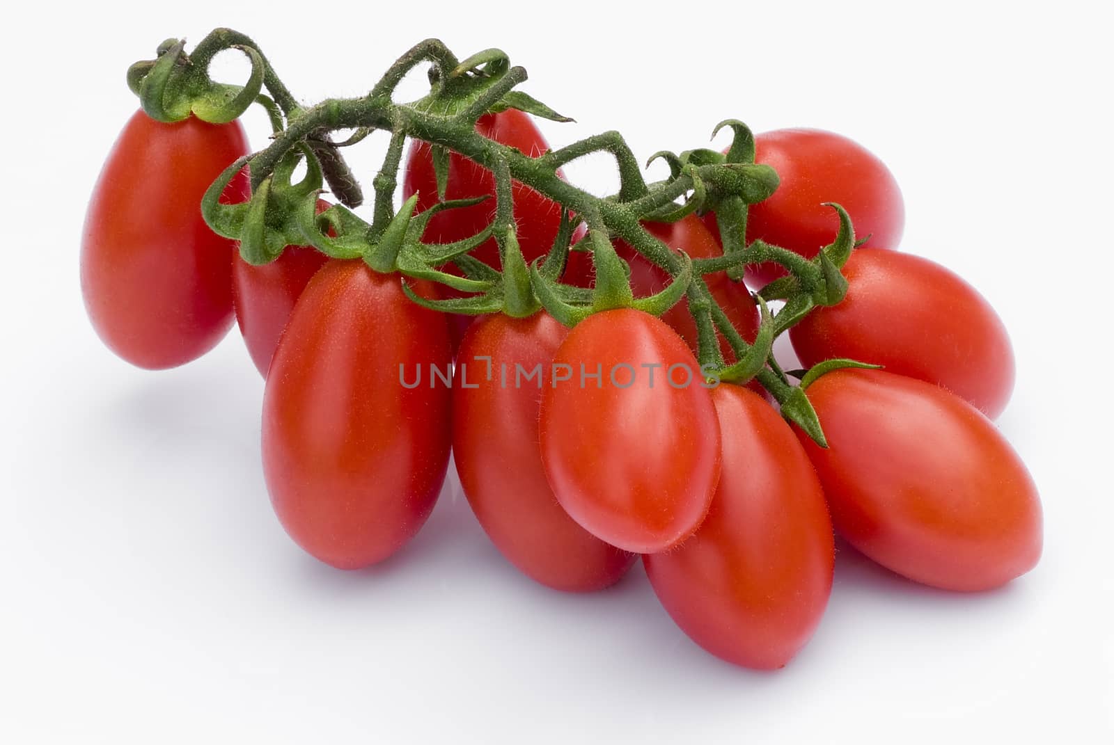 Cherry Tomato on white background by vainillaychile