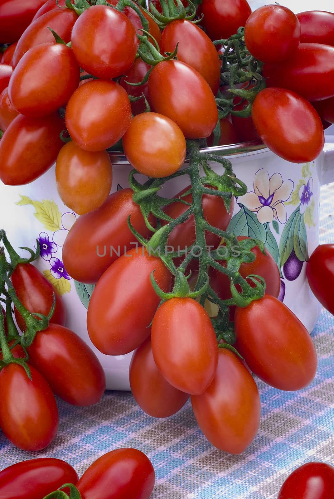 Cherry tomato (plum) of Sicily (Italy)