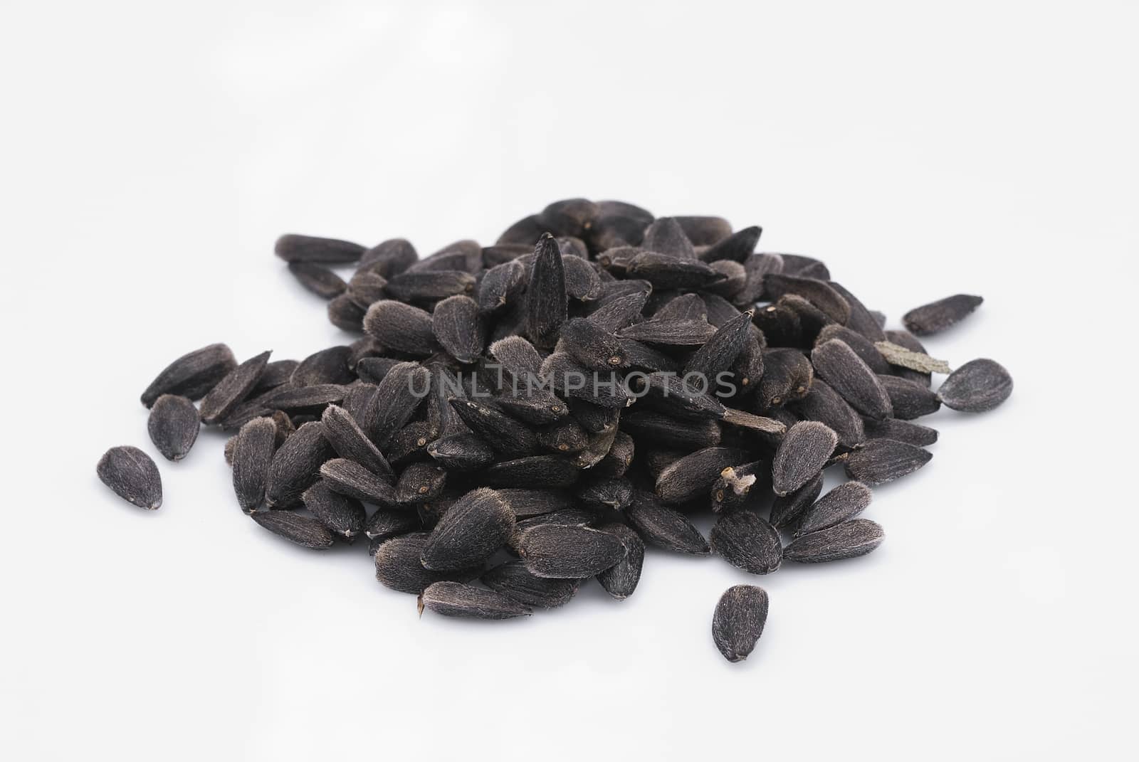 Sunflower seeds isolated on white background.