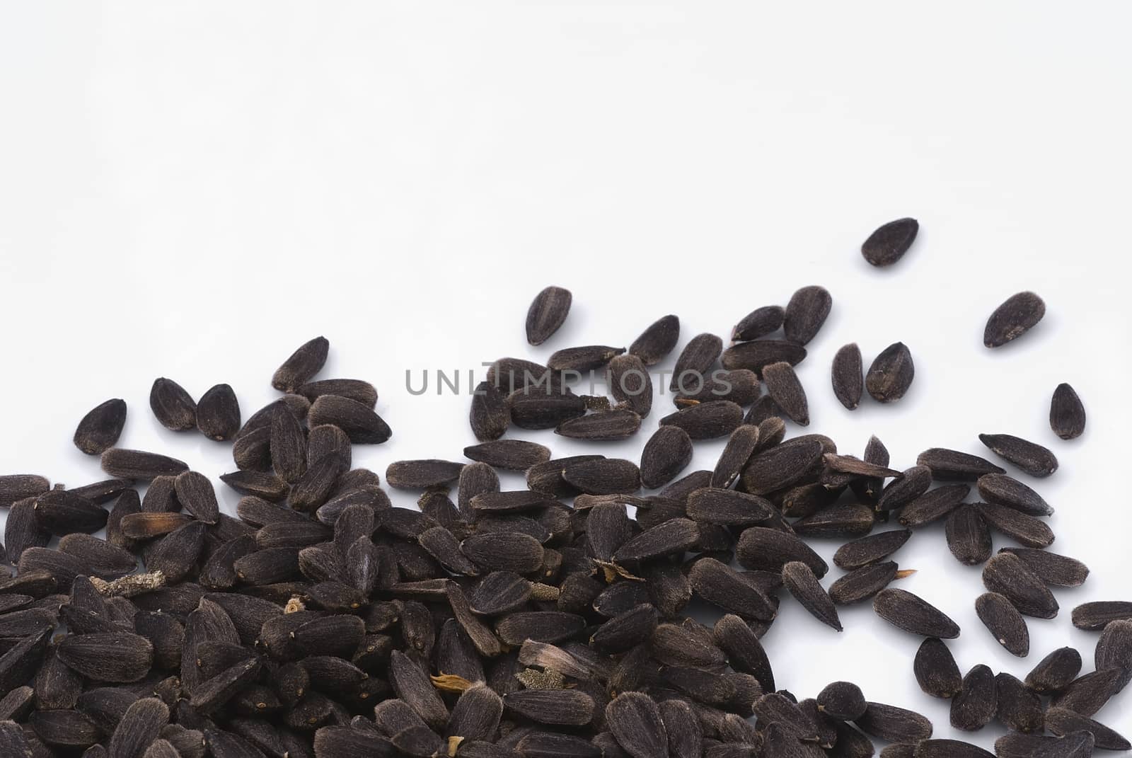 Sunflower seeds isolated on white background.