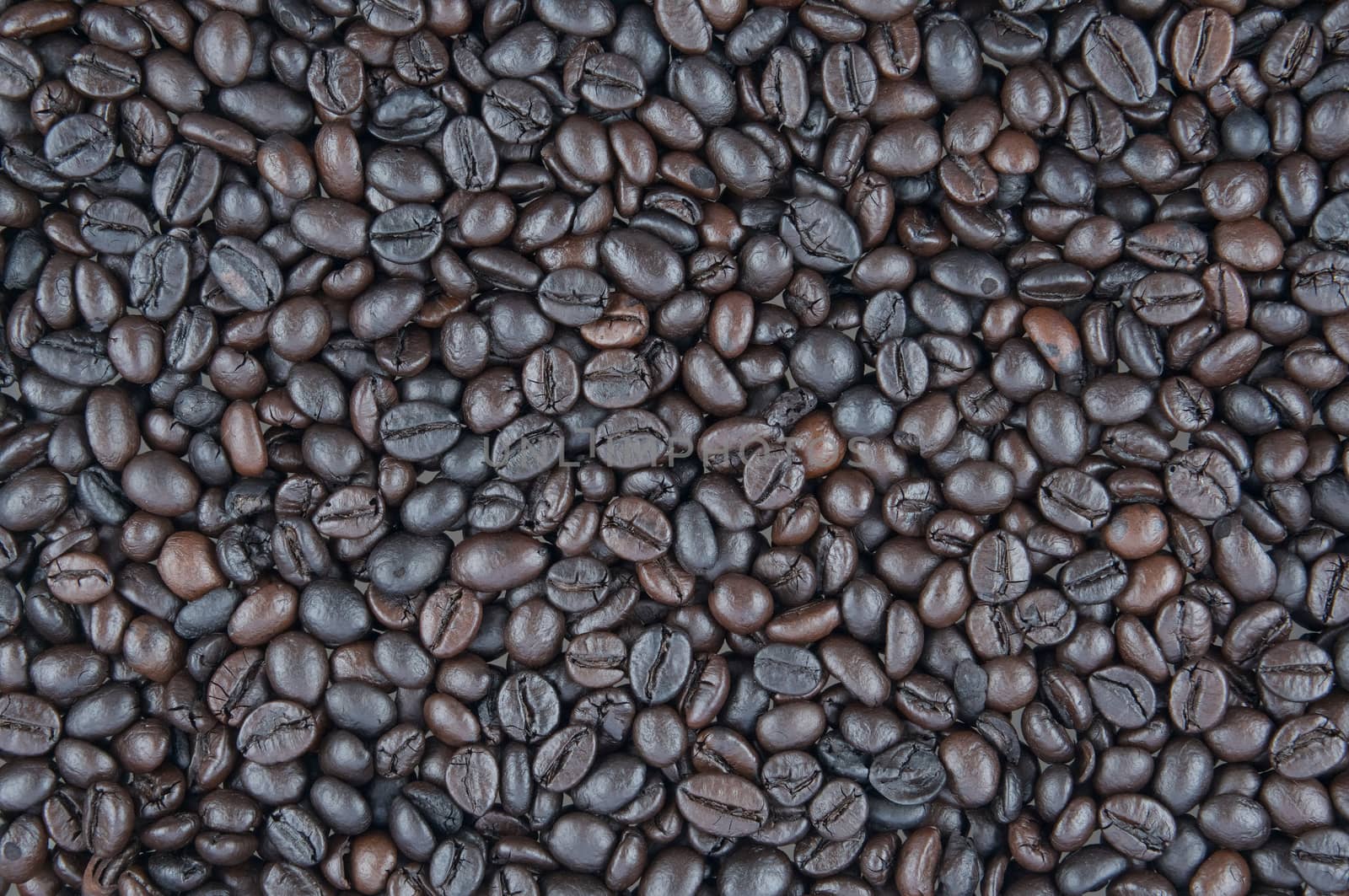 Black roasted coffee beans use as background by eaglesky