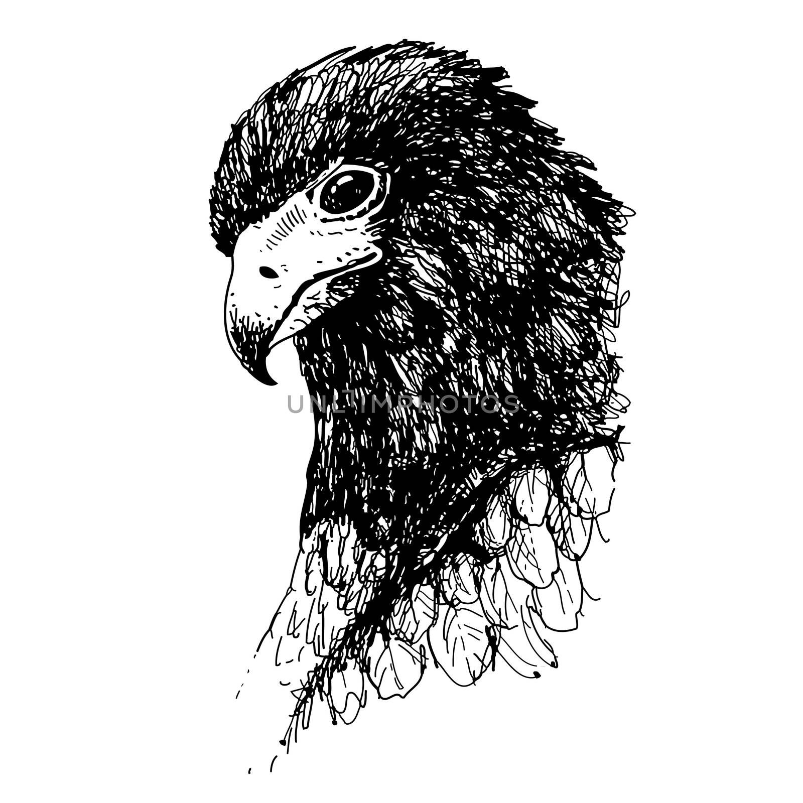 Eagle bird doodle hand drawn by simpleBE
