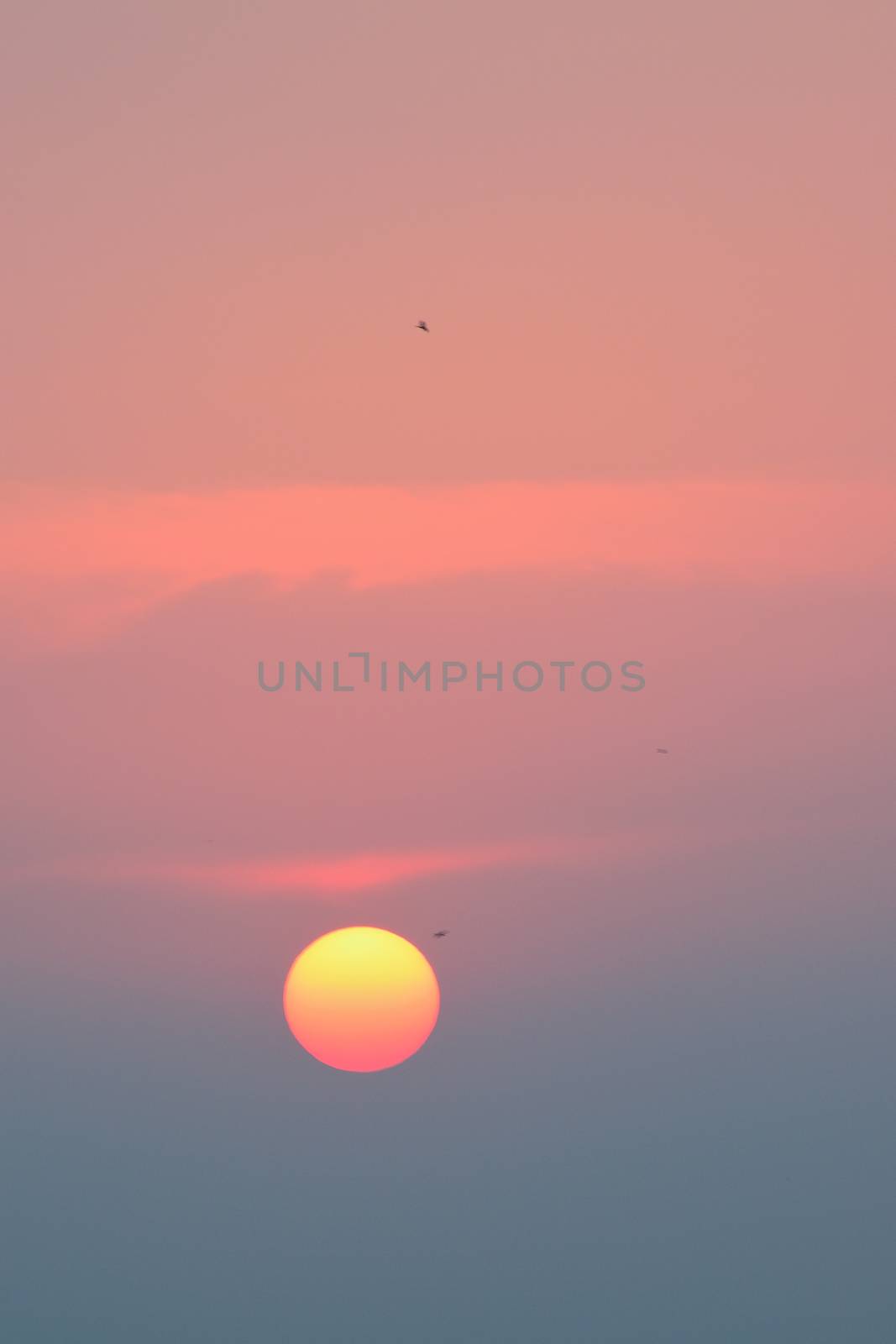 Nature Background colorful Sunset in vertical frame