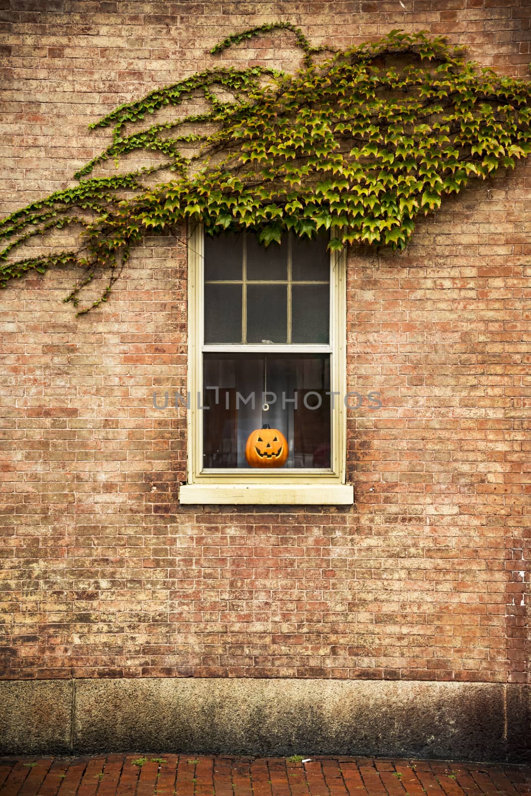 Pumpkins near house window by edella