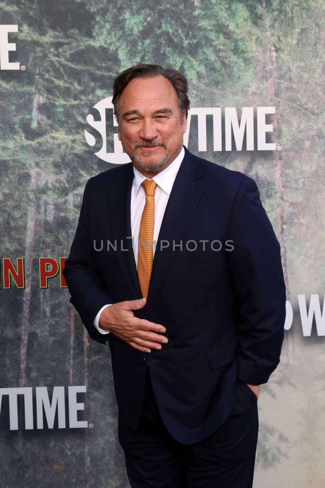 Jim Belushi
at the "Twin Peaks" Premiere Screening, The Theater at Ace Hotel, Los Angeles, CA 05-19-17