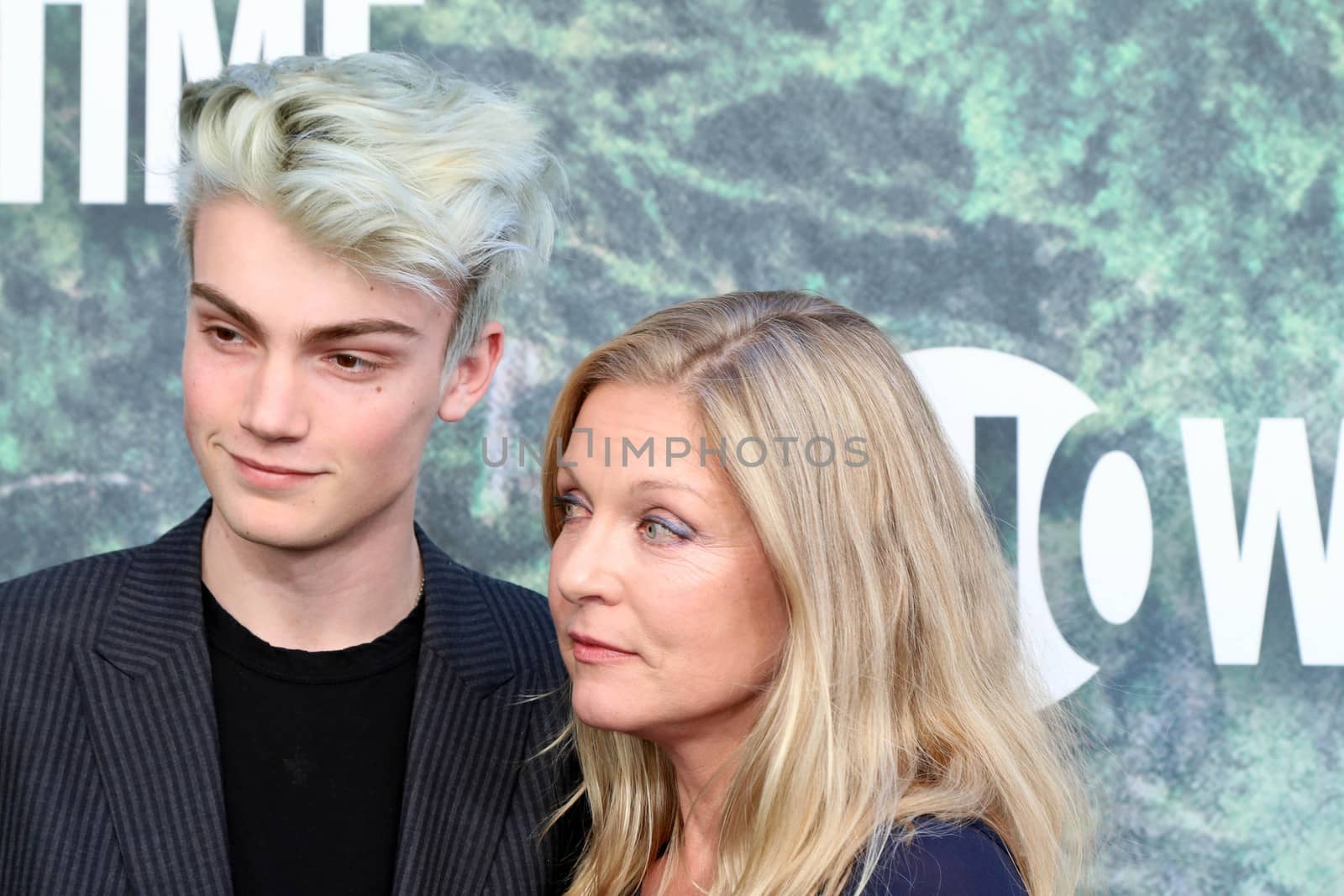 Elijah Diamond, Sheryl Lee
at the "Twin Peaks" Premiere Screening, The Theater at Ace Hotel, Los Angeles, CA 05-19-17/ImageCollect by ImageCollect