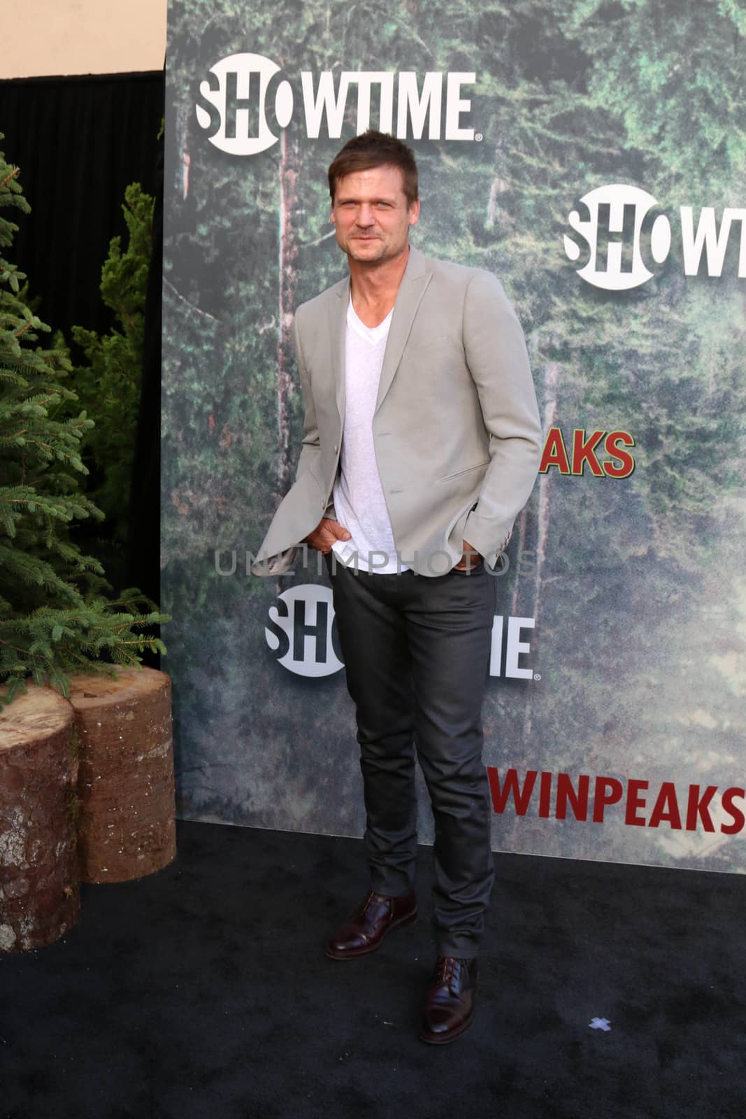 Bailey Chase
at the "Twin Peaks" Premiere Screening, The Theater at Ace Hotel, Los Angeles, CA 05-19-17