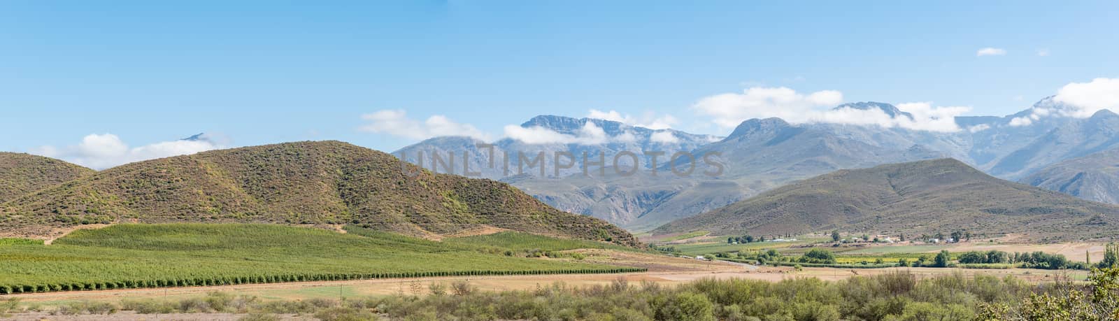 Panorama of a farm landscape with the Swartberg (black mountain) in the back near Hoeko in the Western Cape Province