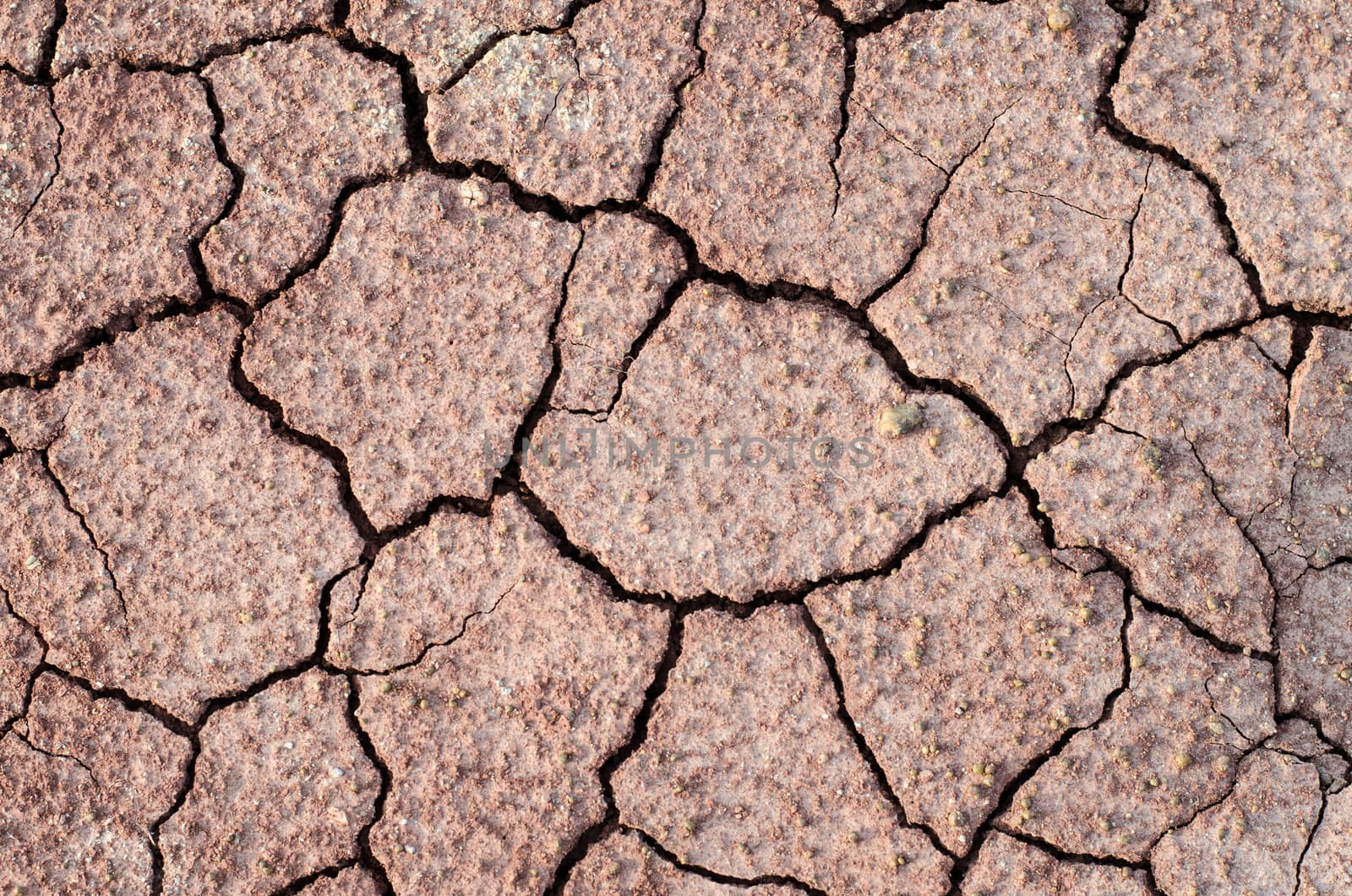 dry soil cracked earth texture by metal22