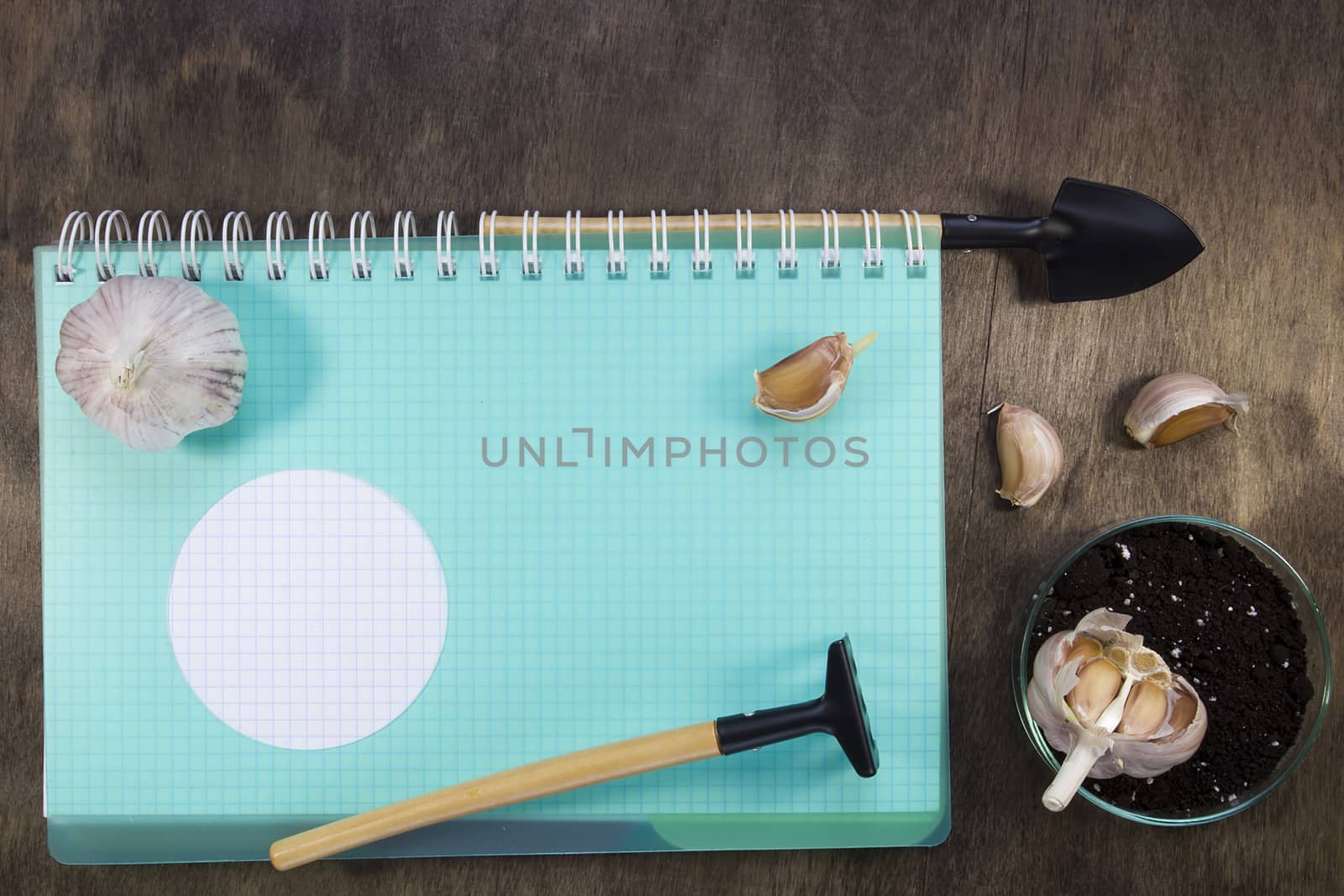 Notebook garlic and garden tools on a wooden table