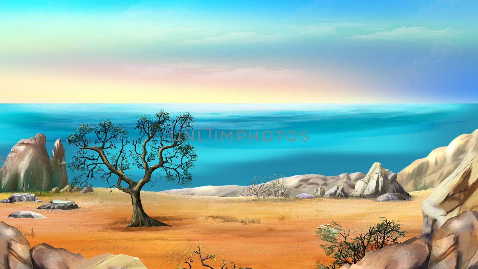 Rocky Shore with Lonely Tree Against Blue Sky at Dawn by Multipedia