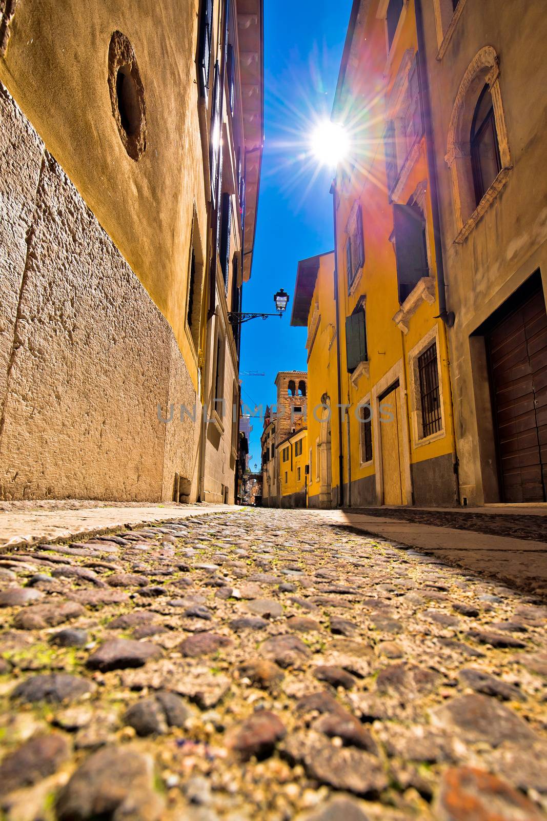 City of Verona colorful steet view by xbrchx